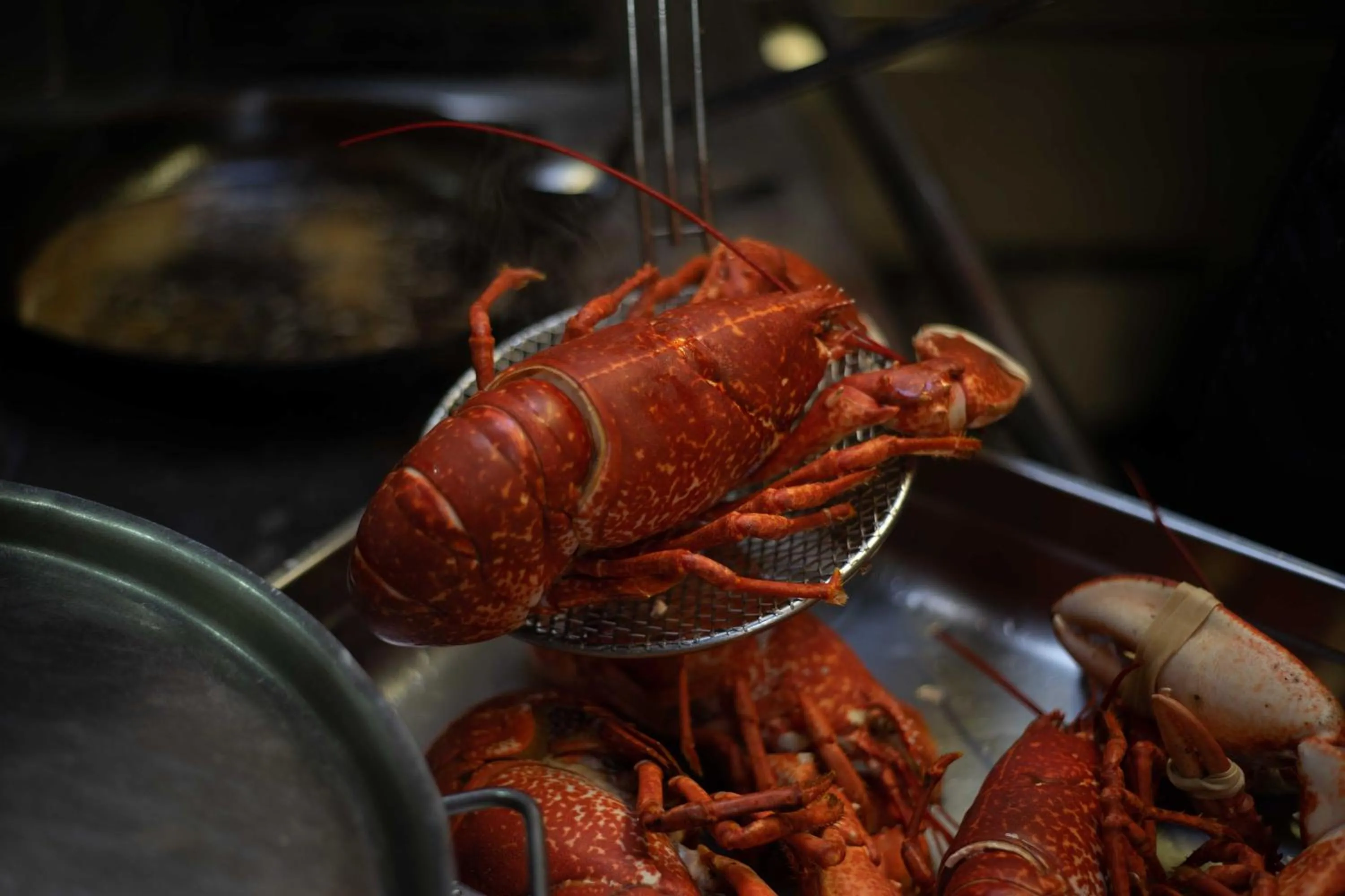 Food in Auberge Bretonne