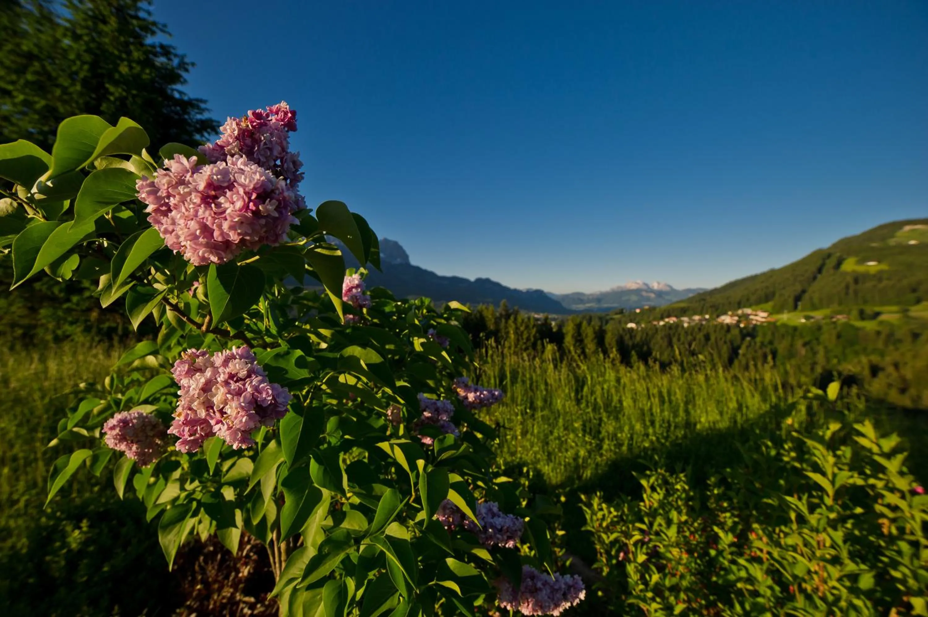 Natural landscape in Kaiserhof Superior