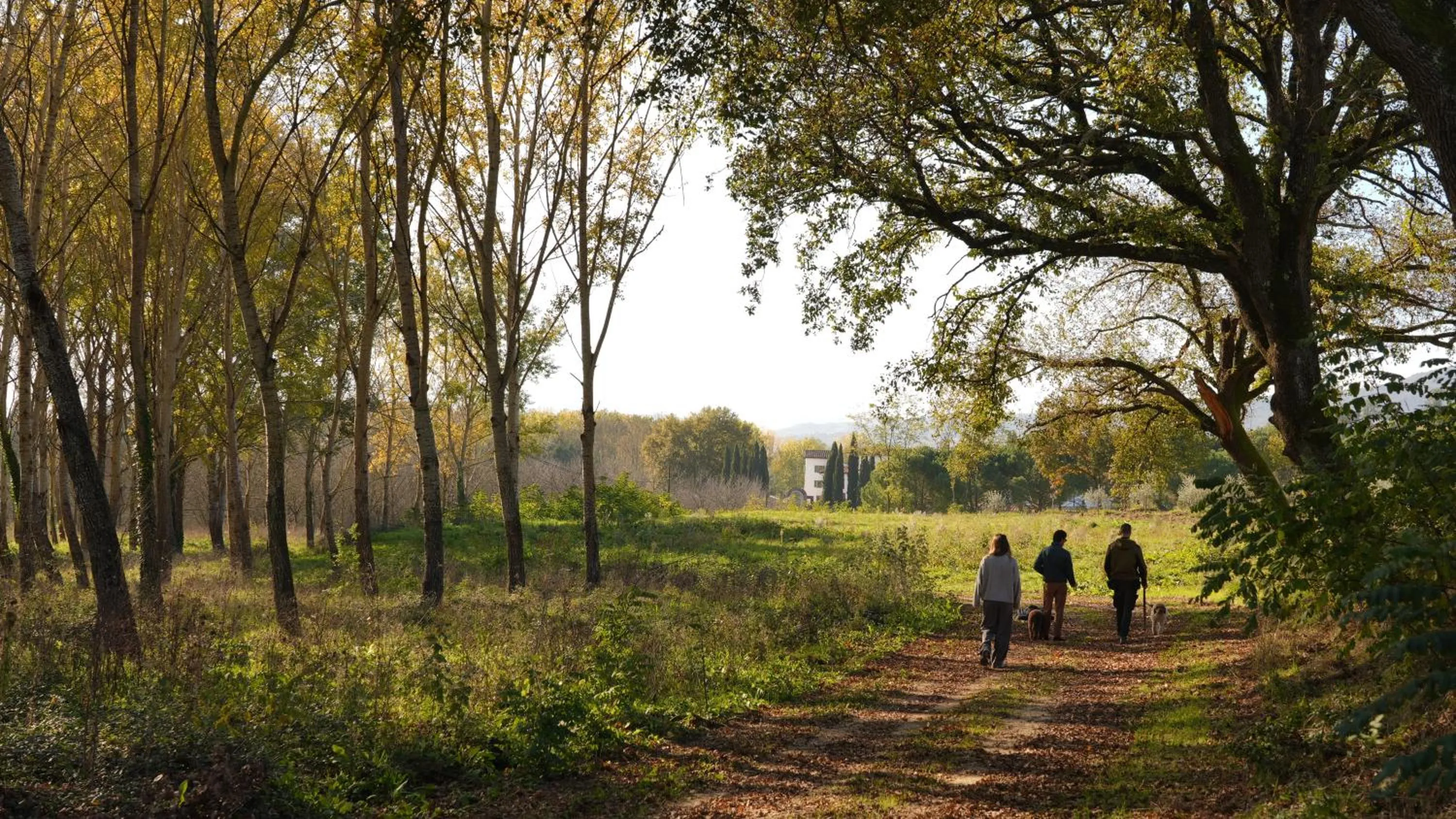 Activities in Viesca Toscana Suites & Villas