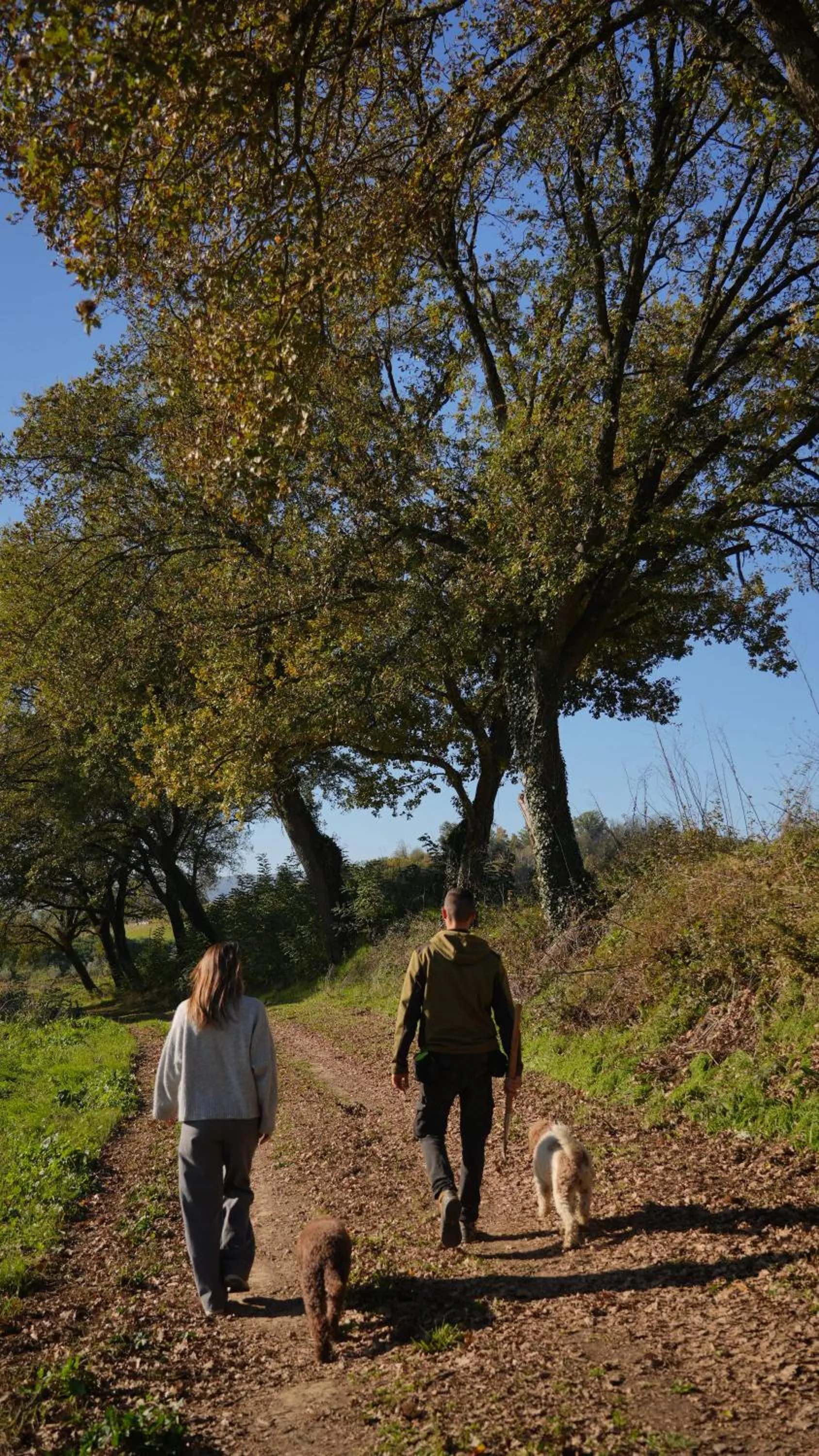 Activities in Viesca Toscana Suites & Villas