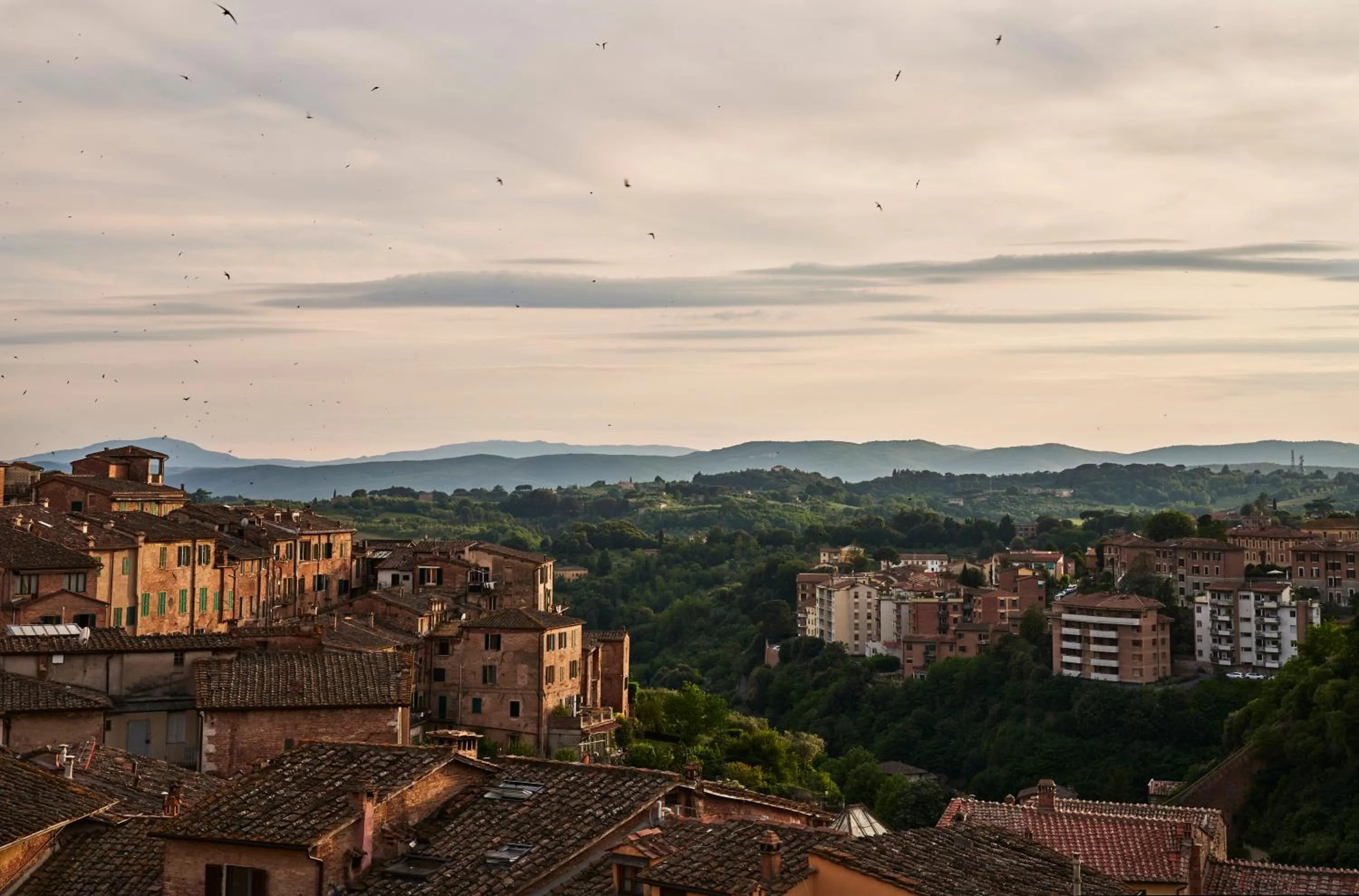 Summer in I Terzi Di Siena - Rooms Only