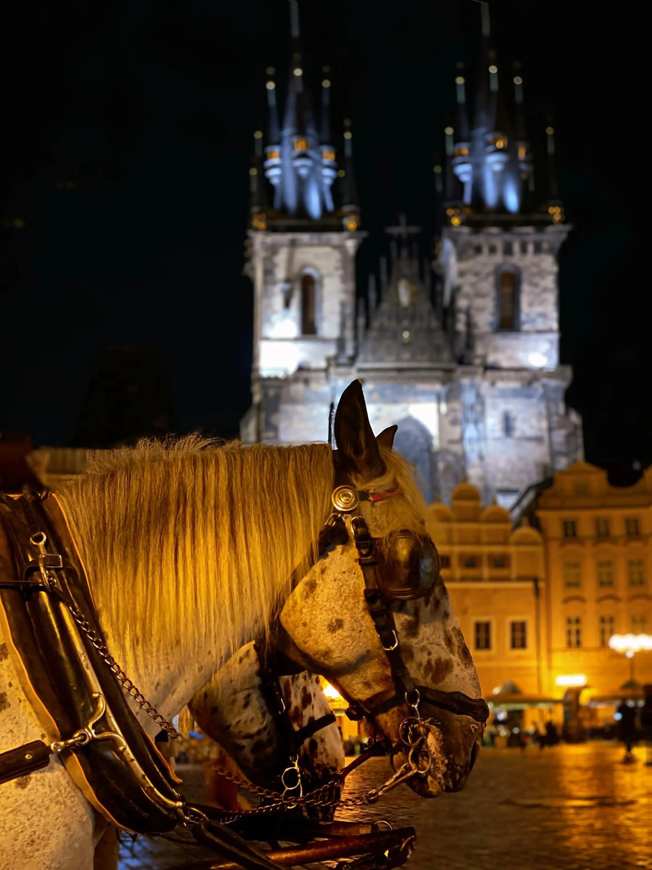 Nearby landmark in Alchymist Prague Castle Suites Hotel