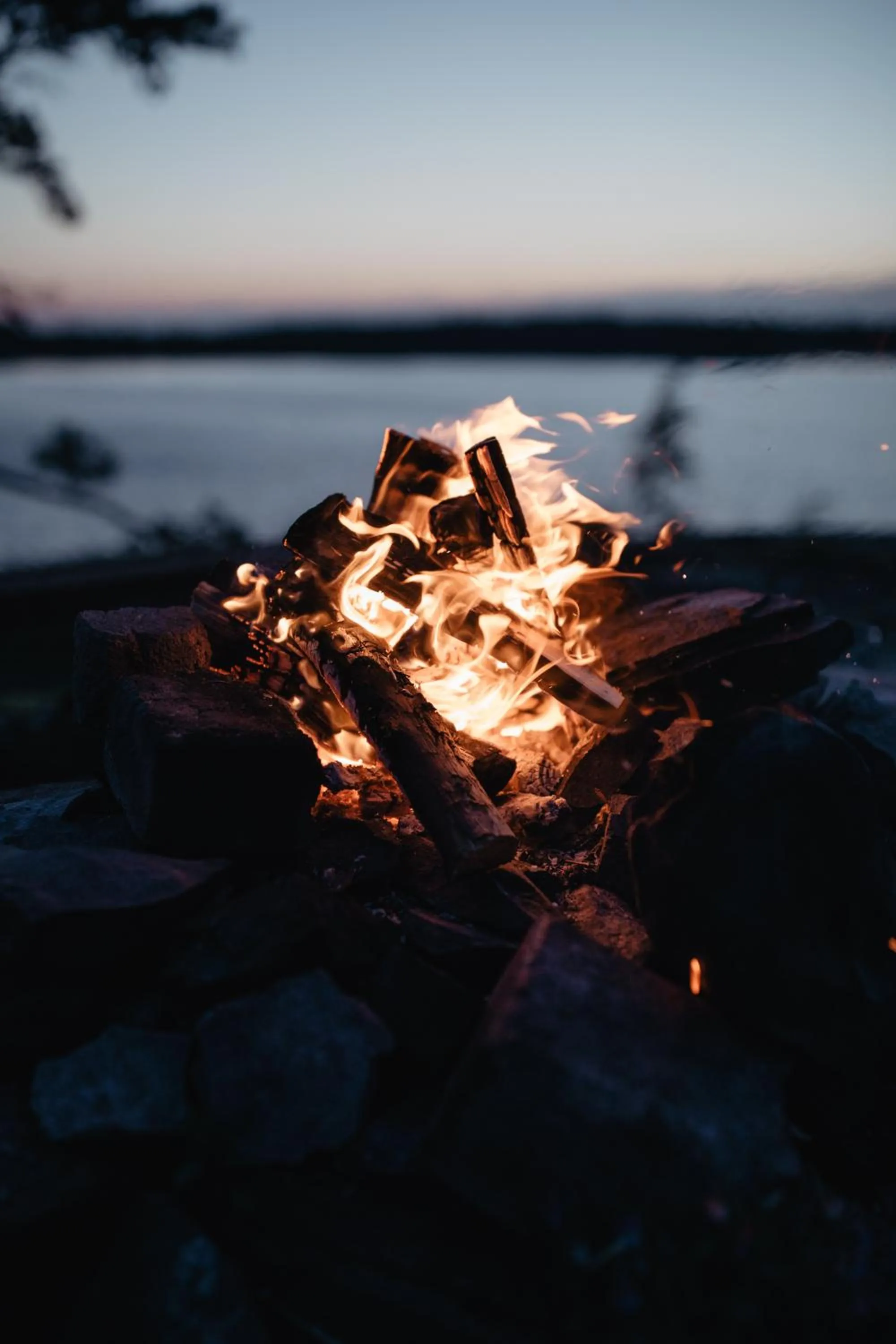 Activities in Lapland Hotels Bulevardi