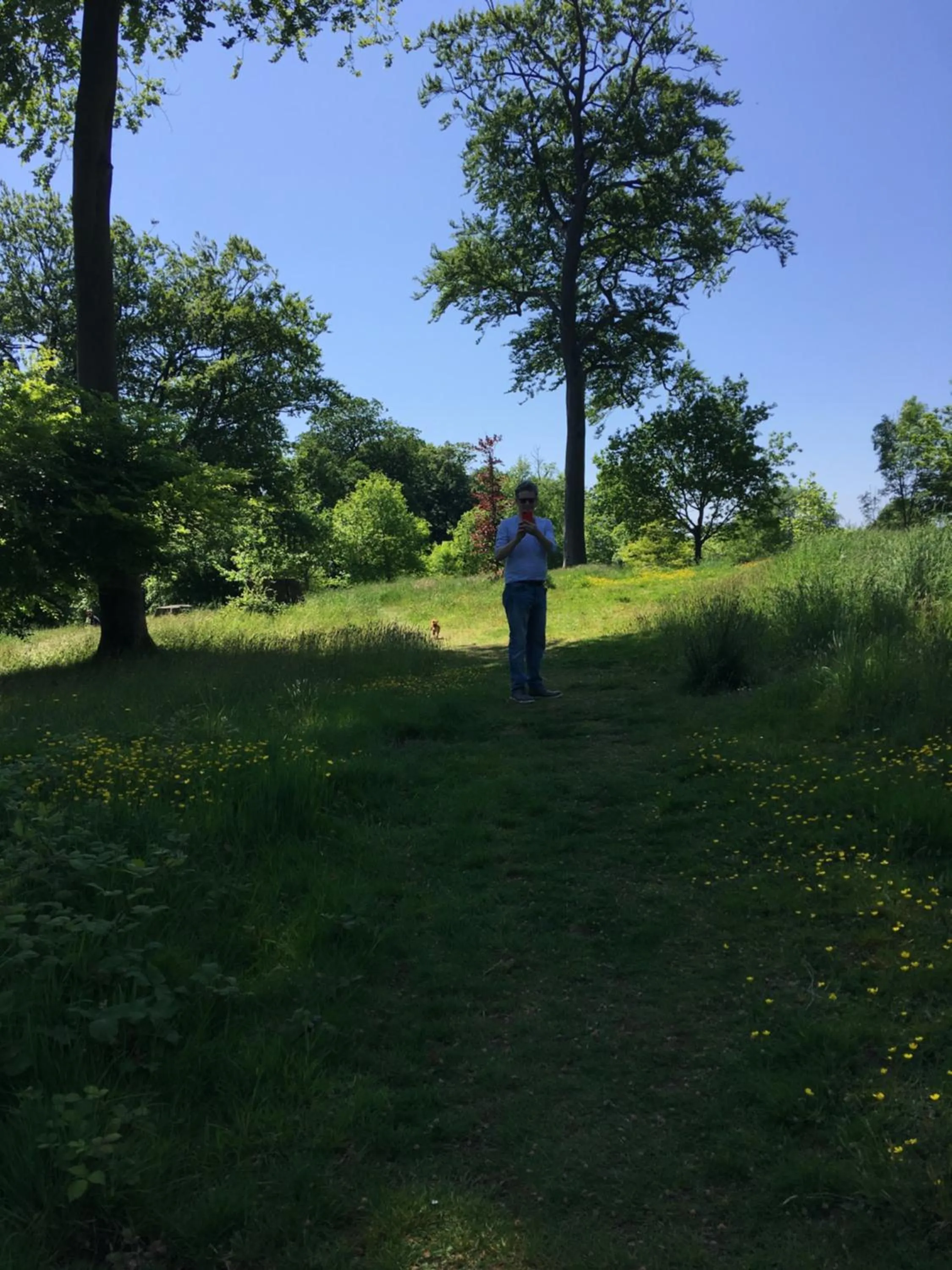 Nearby landmark in Wynberg House Bed & Breakfast Swansea
