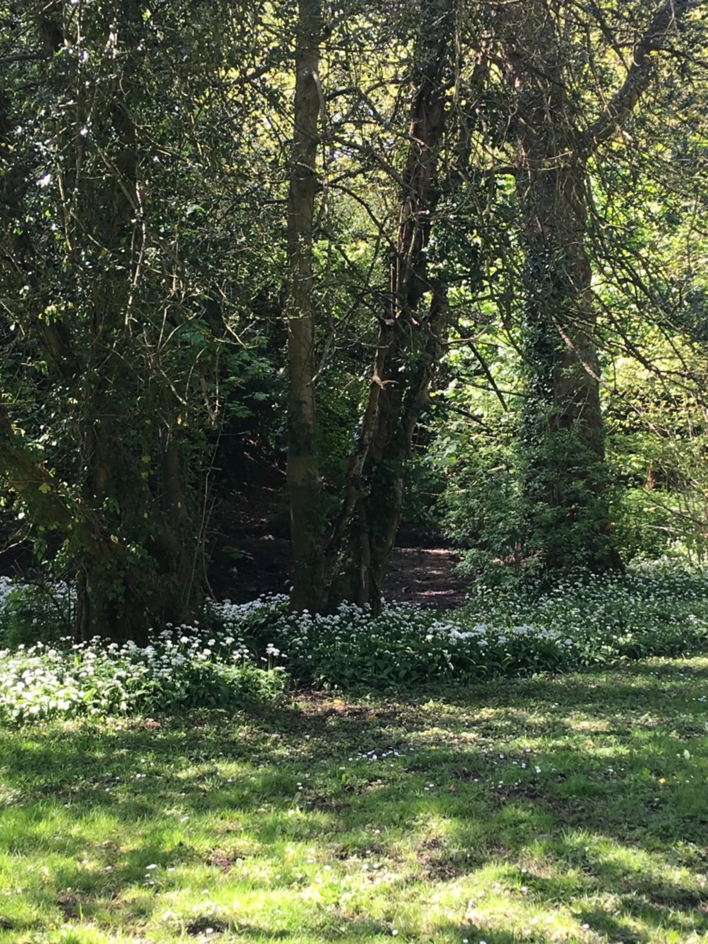 Natural landscape in Wynberg House Bed & Breakfast Swansea