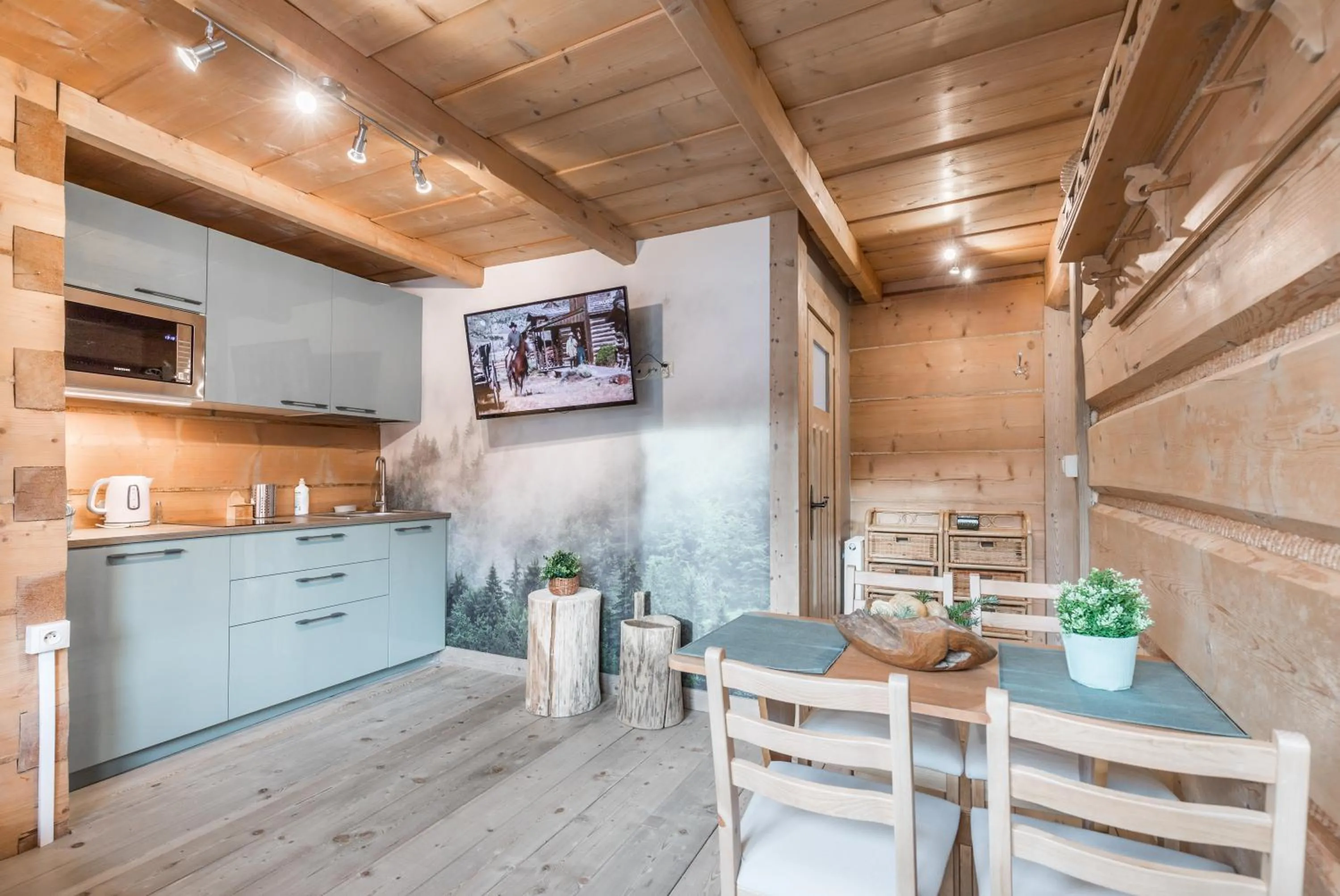 TV and multimedia in Apartamenty Biały Potok