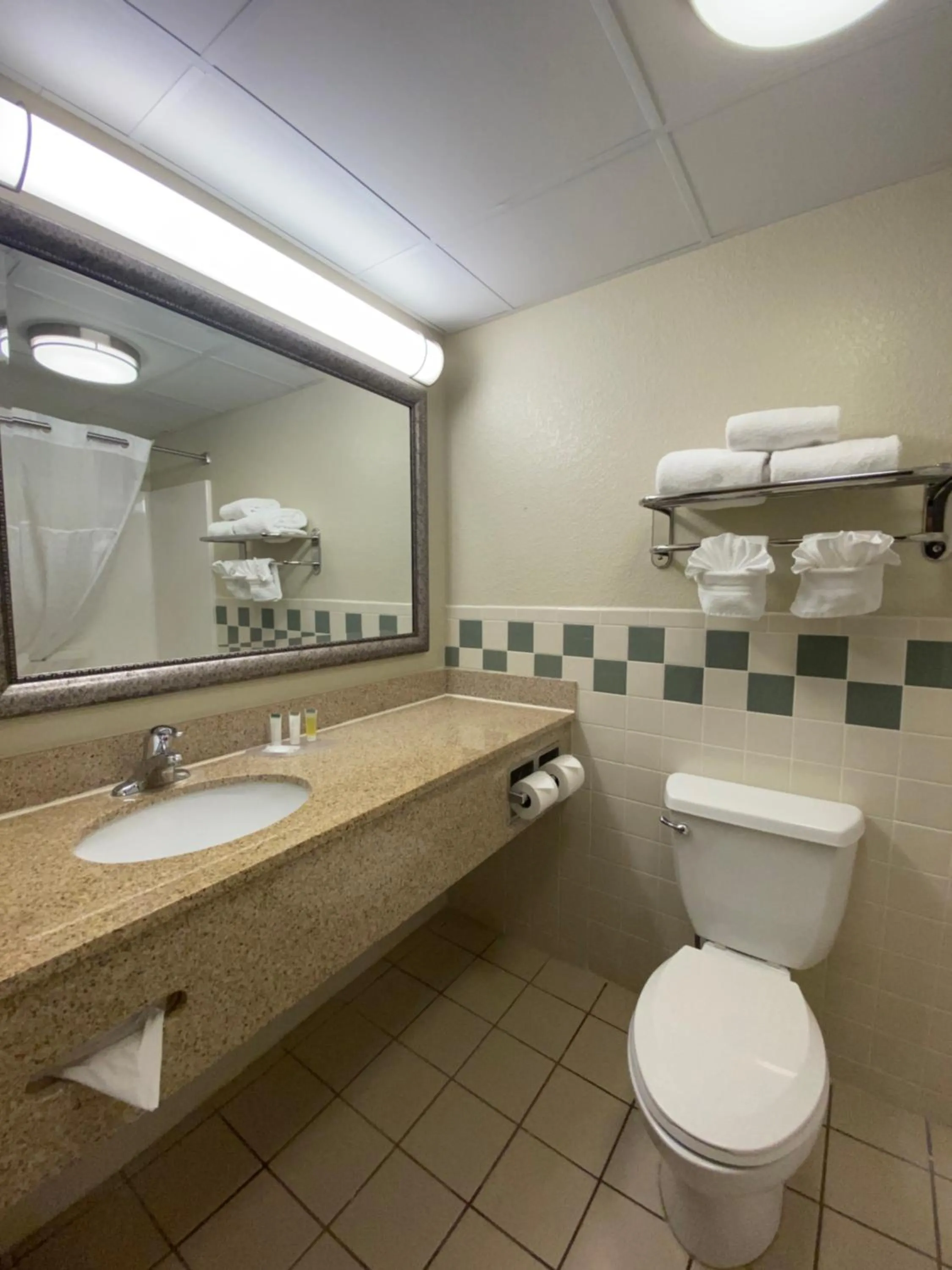 Bathroom in MountainView Lodge and Suites