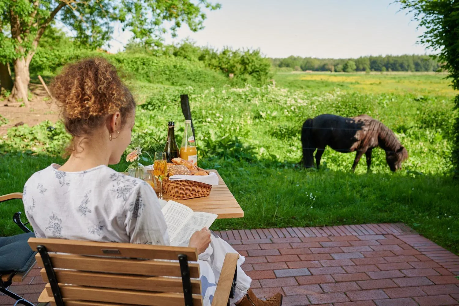 Natural landscape in Schloss Wissen