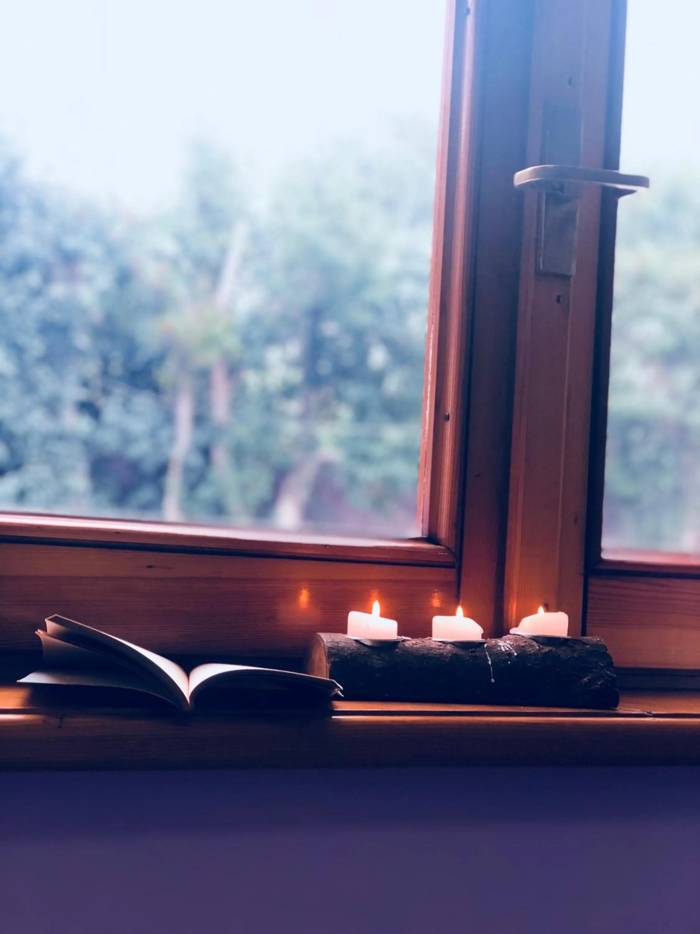 Garden view in villalessandra