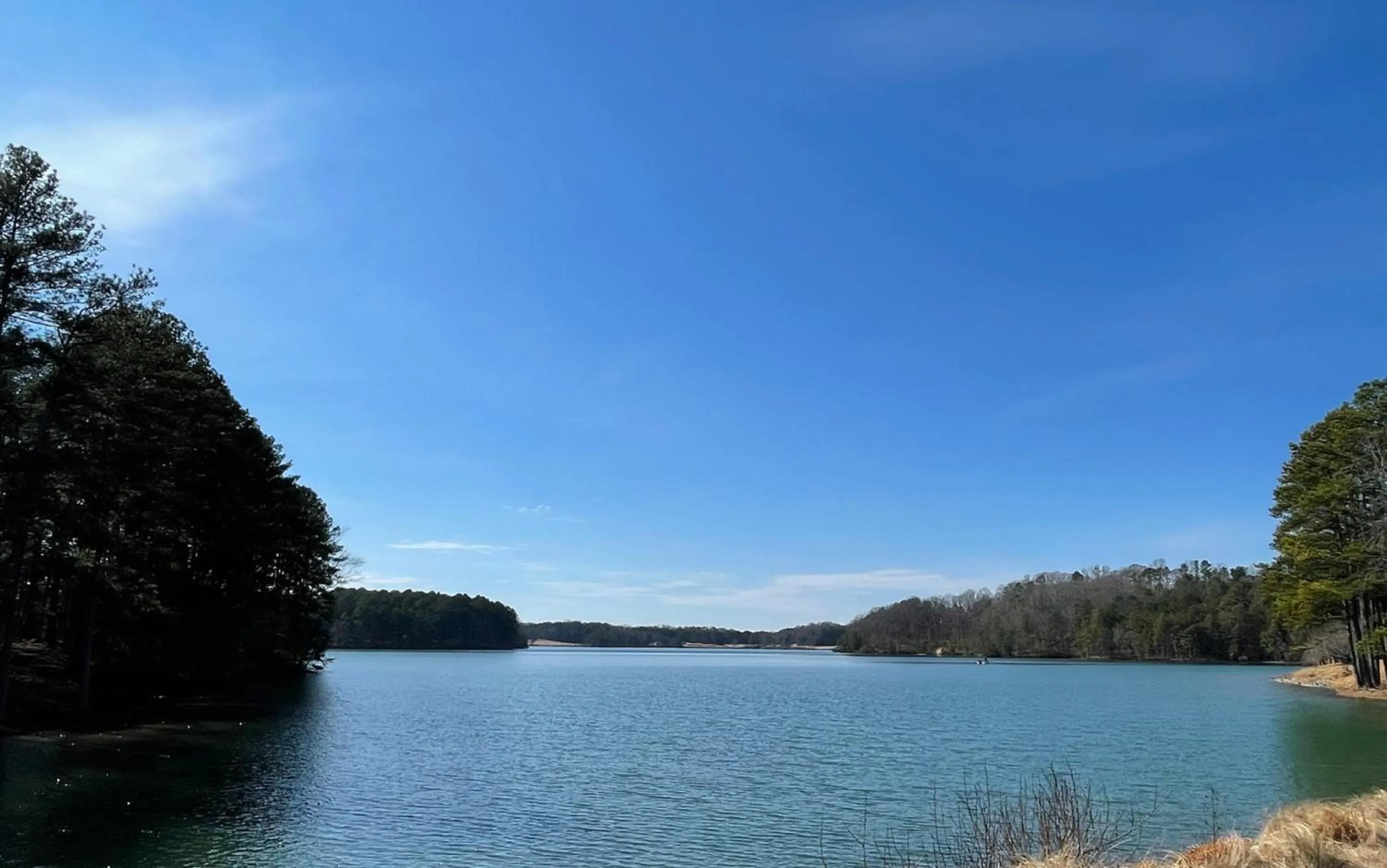 Area and facilities in Holiday Inn Express & Suites Buford NE - Lake Lanier by IHG