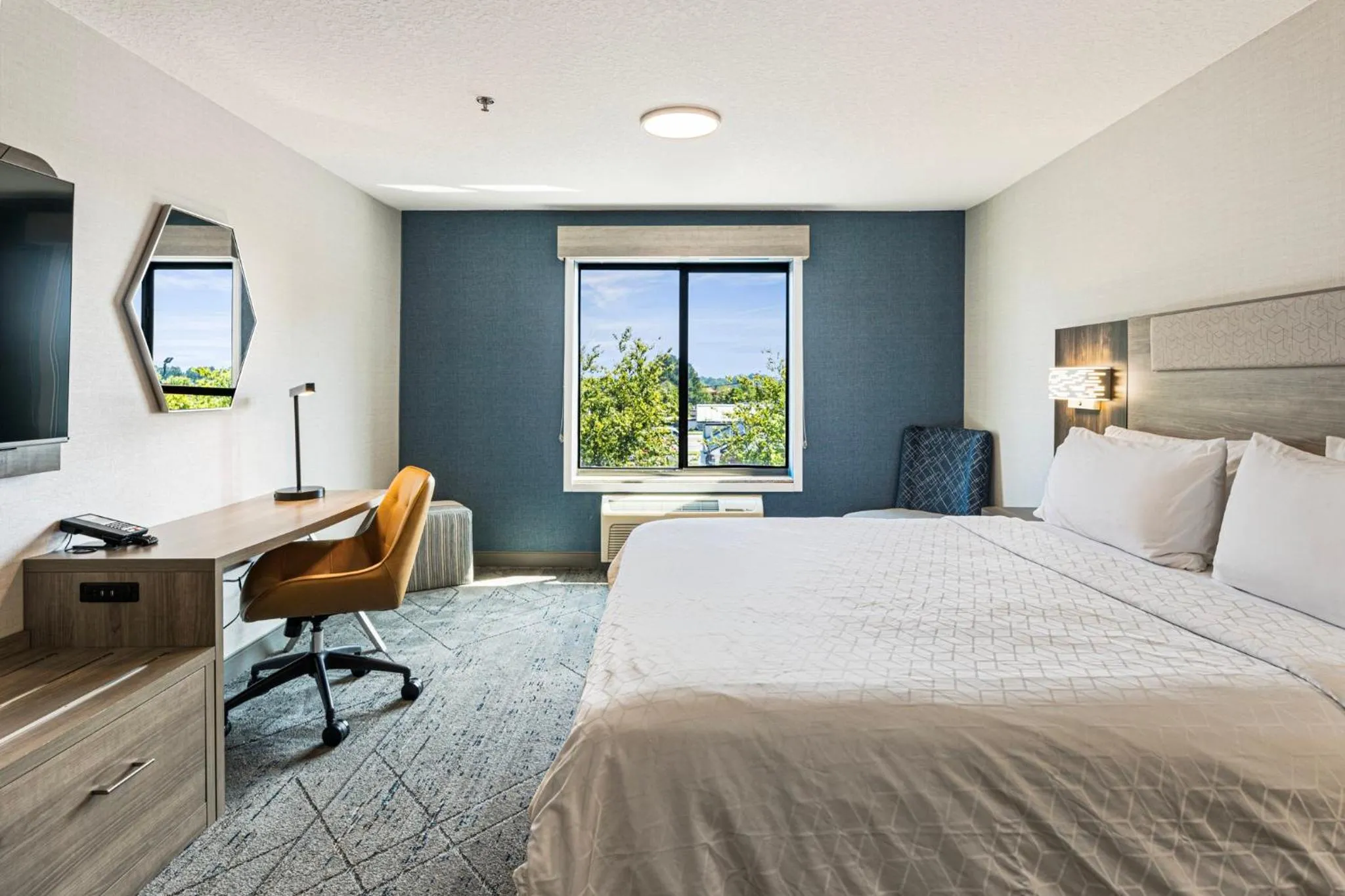 Photo of the whole room, Bed in Holiday Inn Express & Suites Buford NE - Lake Lanier by IHG