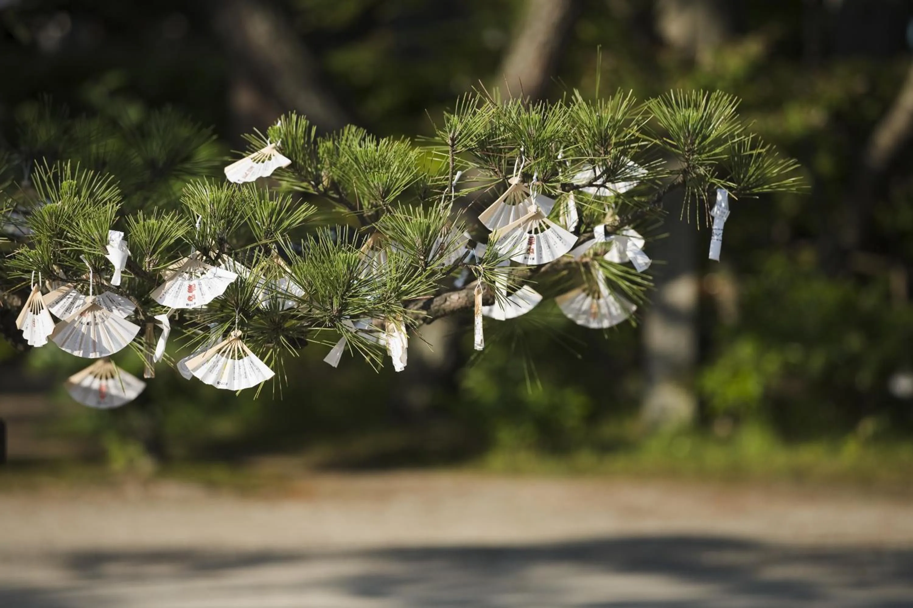 Nearby landmark in Taikyourou