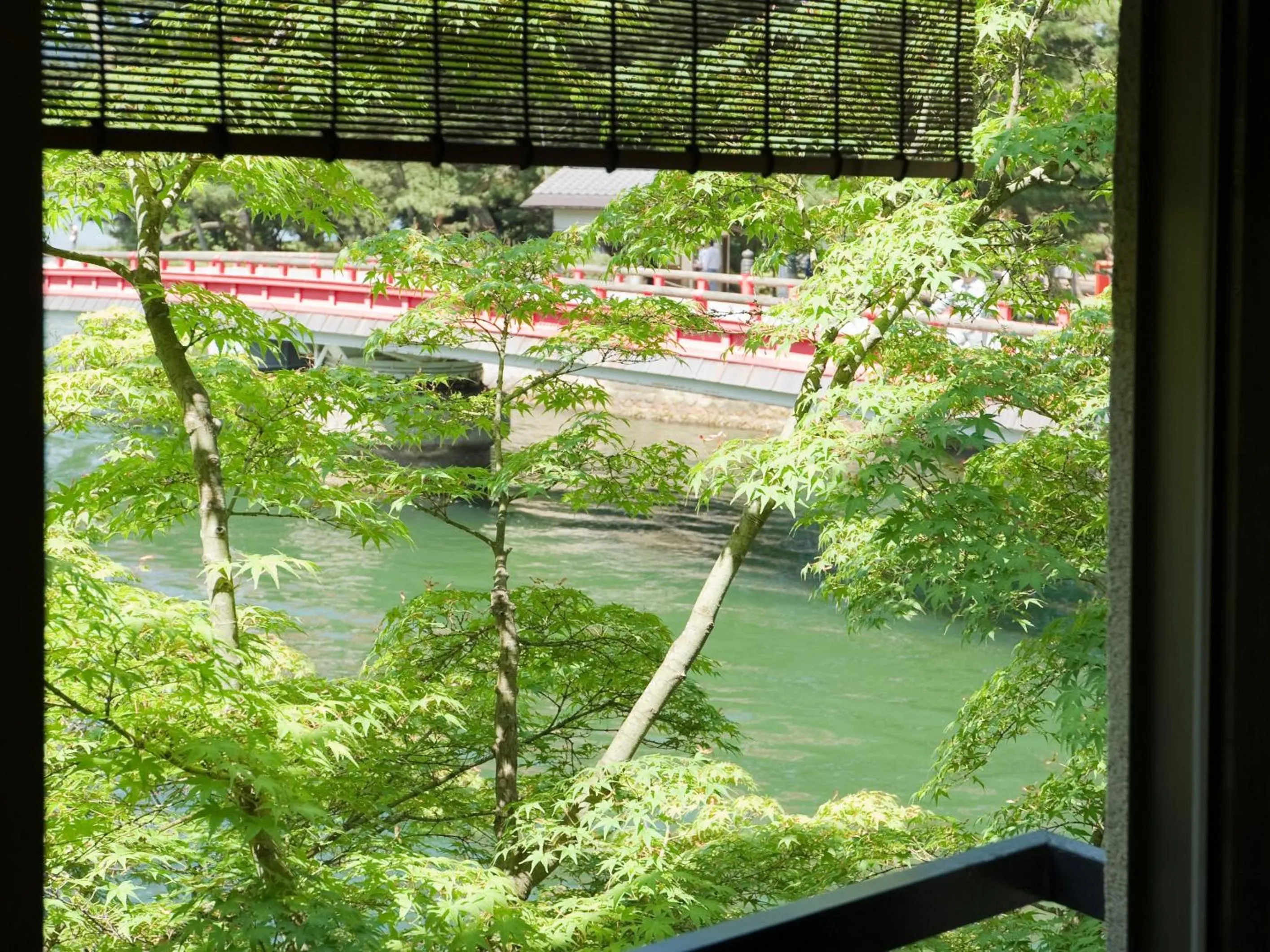 View (from property/room) in Taikyourou