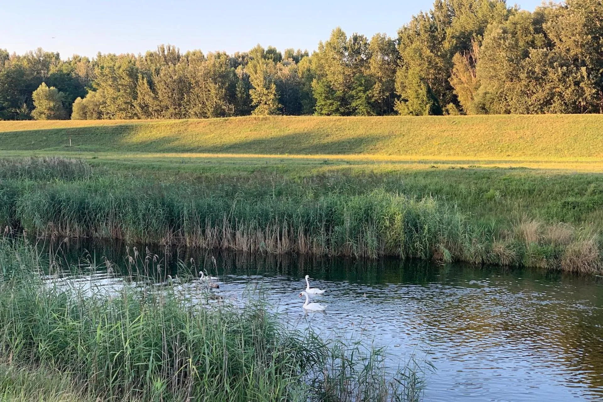 Neighbourhood in Hotel Ponteo - Activity Park