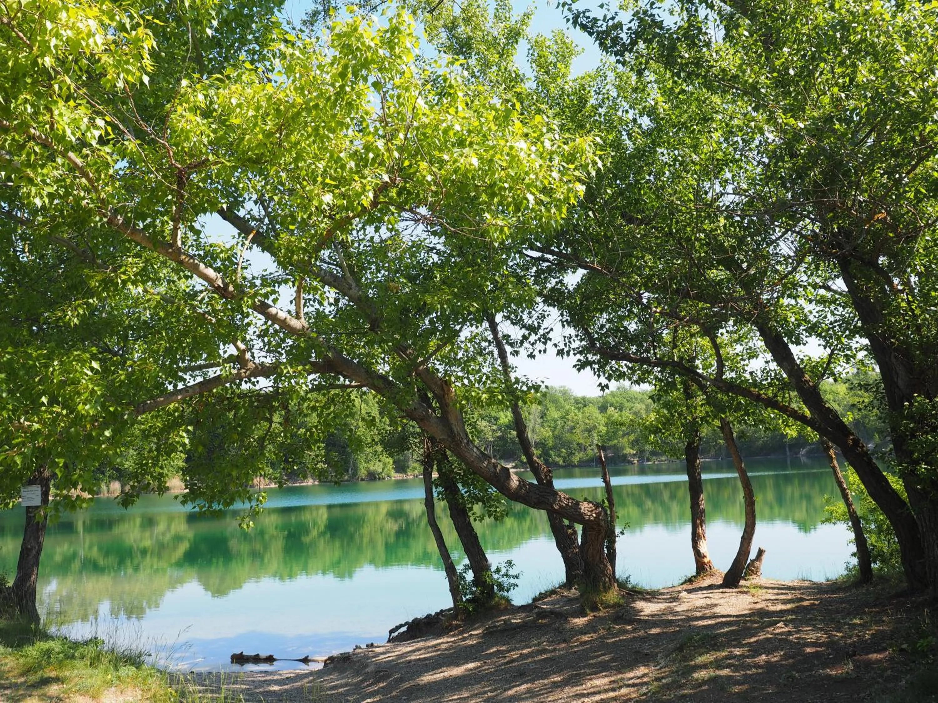 Natural landscape in Hotel Ponteo - Activity Park