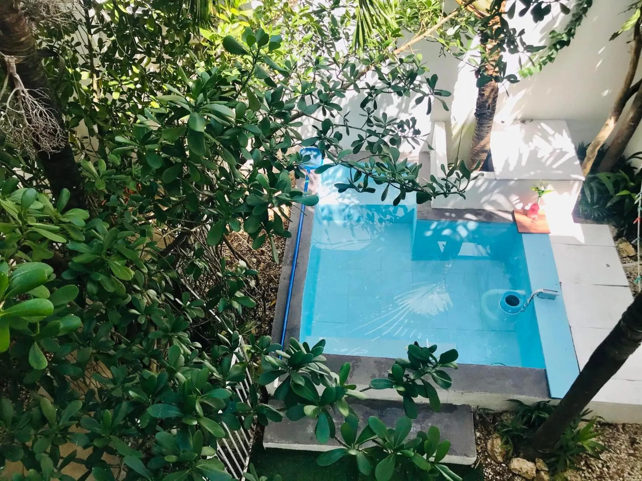 Cozy Tiny Studio AcasadiAlexPlayadelCarmen