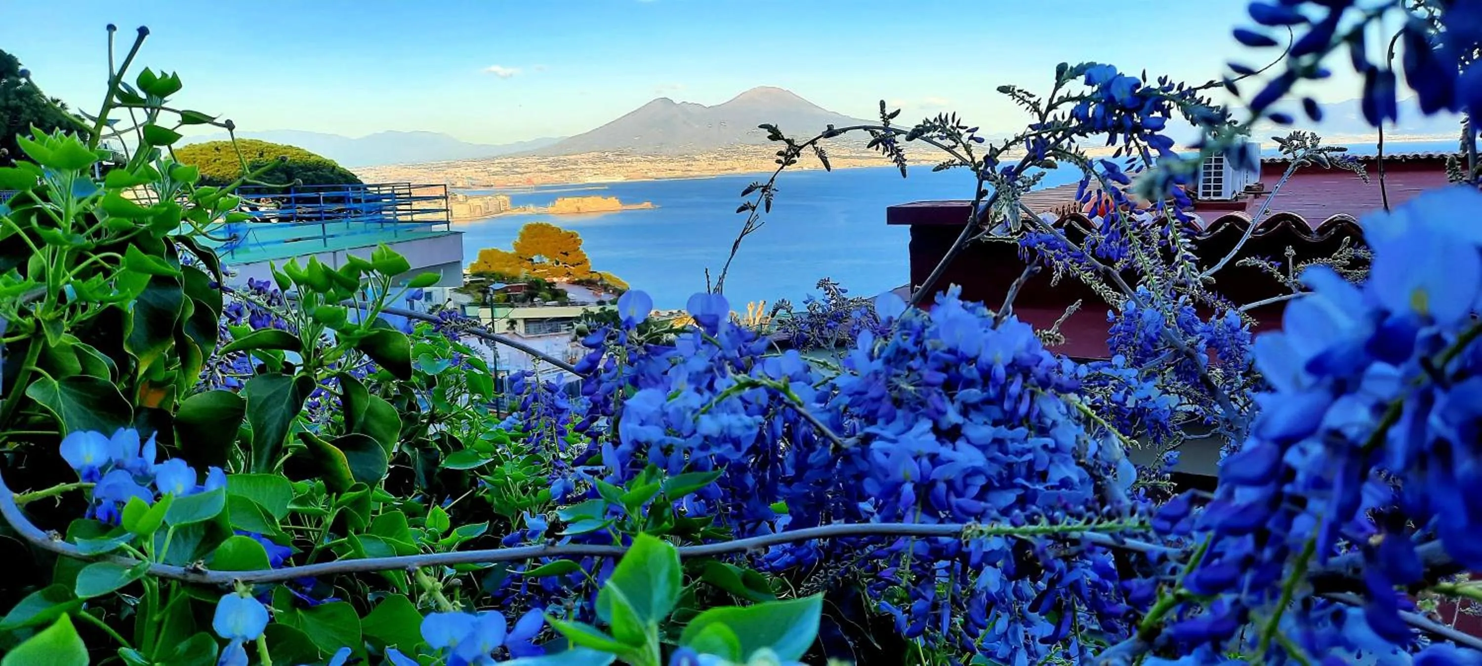 Natural landscape in Gea suite