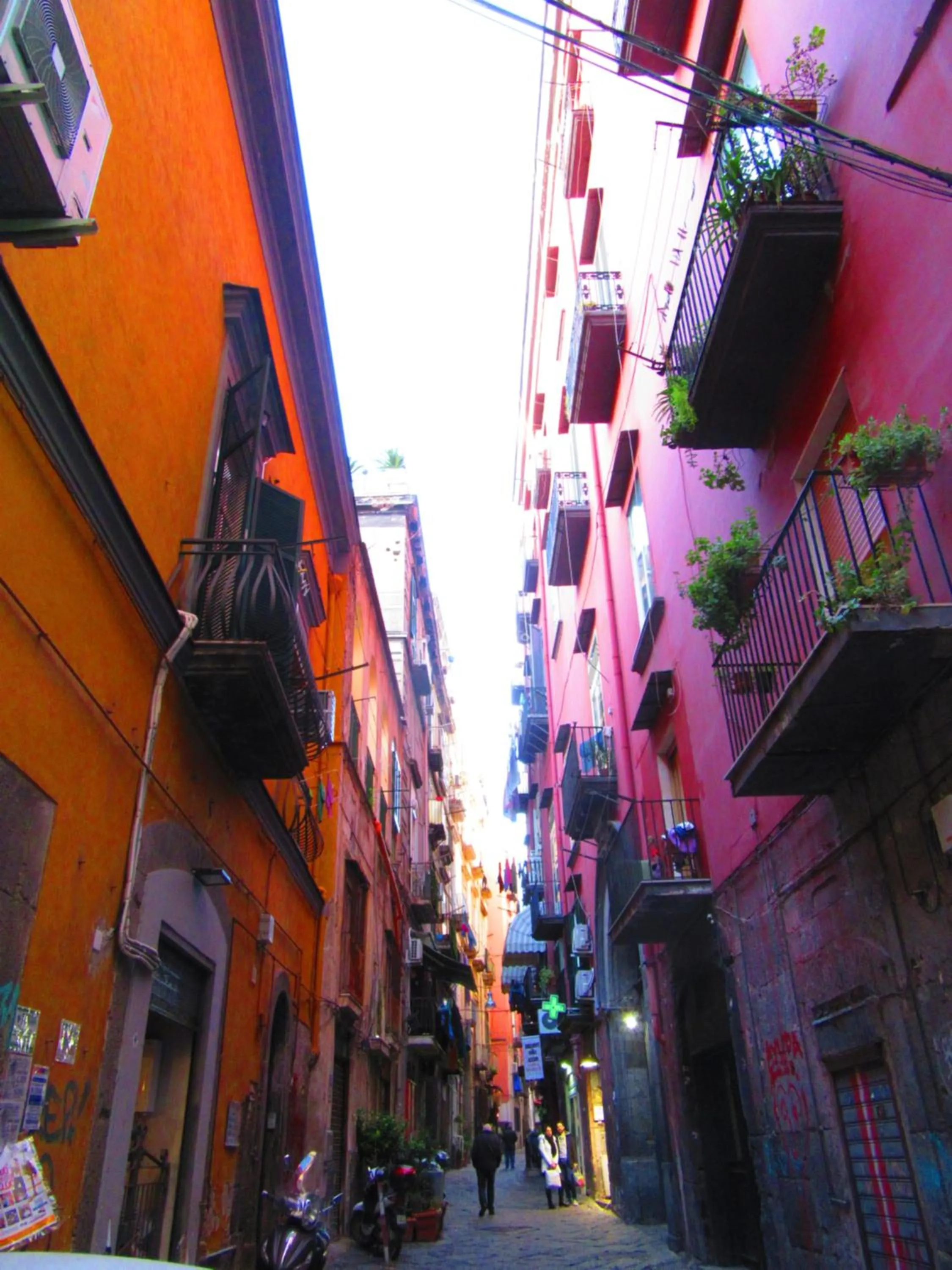 On site in Gea suite