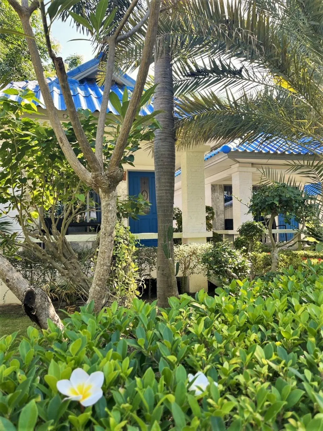 Property building in Sunset Beach Villas