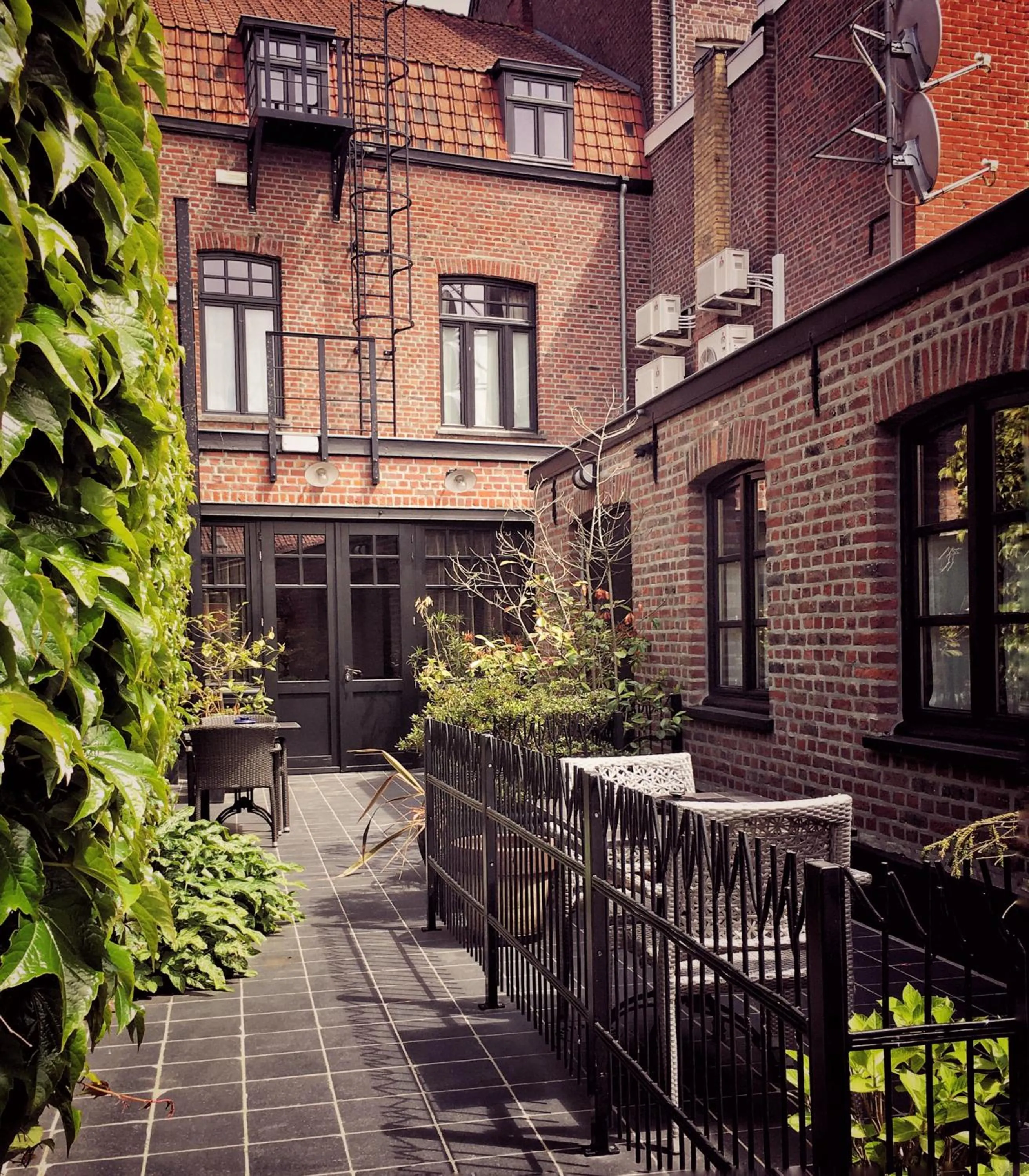 Garden in Main Street Hotel