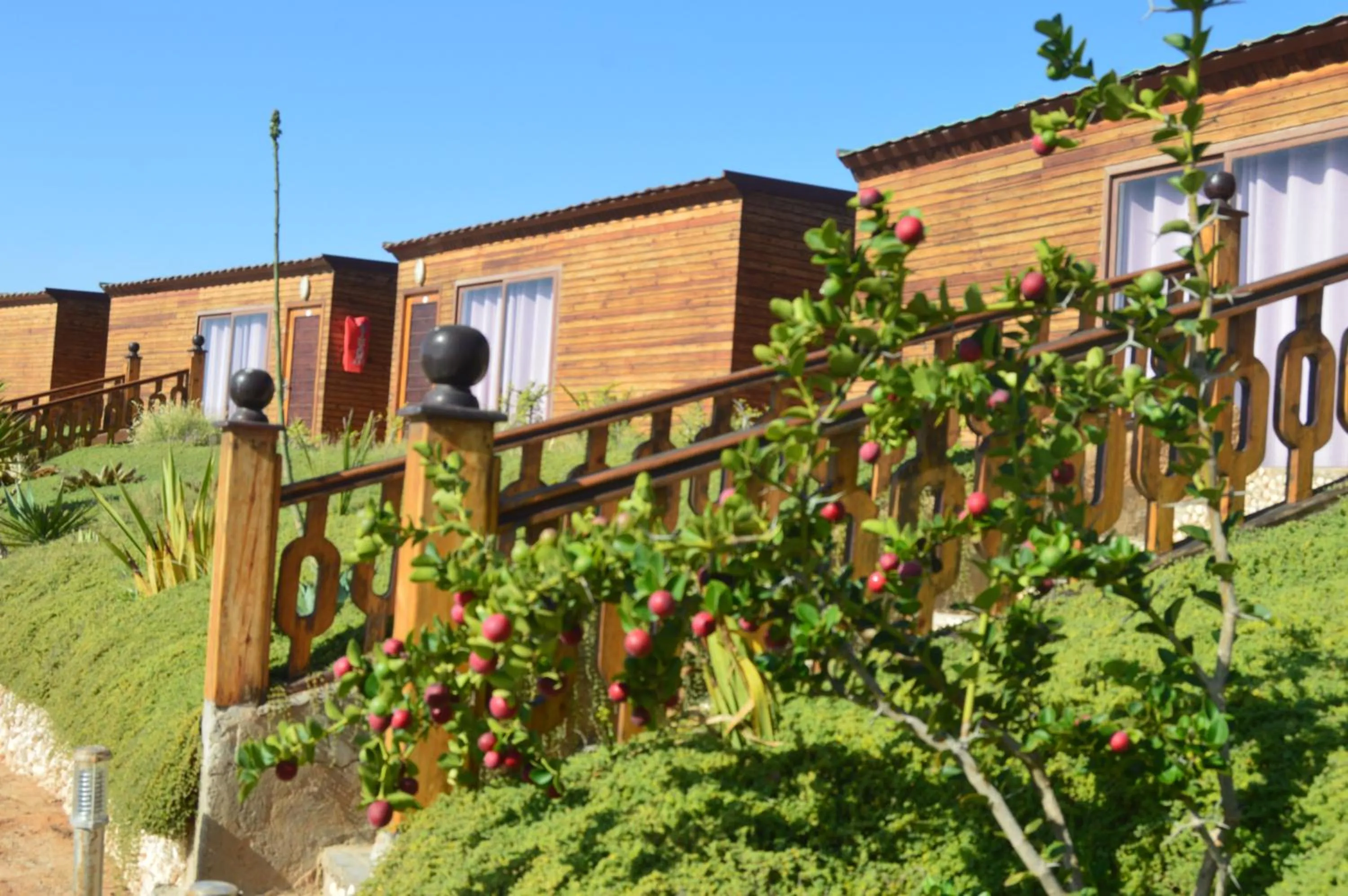 Property building in Dakhla Kitesurf World