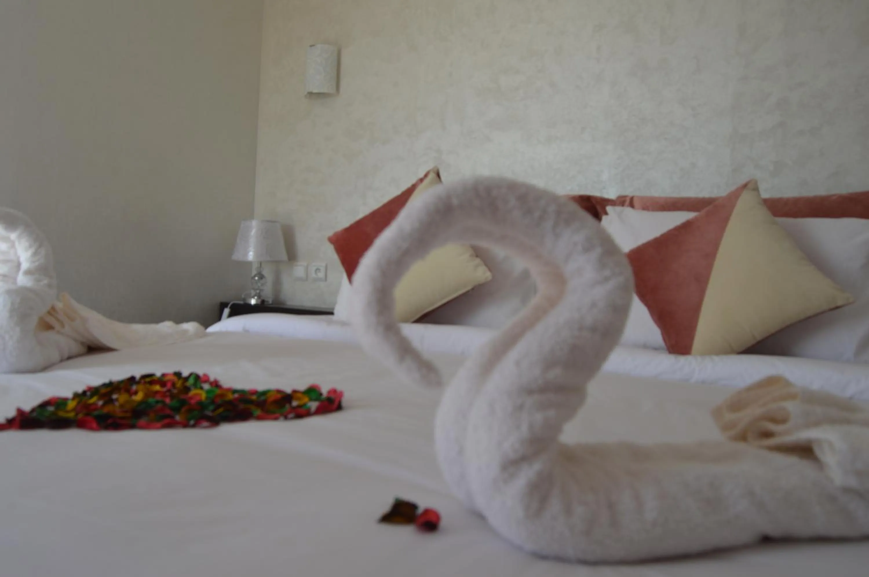 Bed in Dakhla Kitesurf World