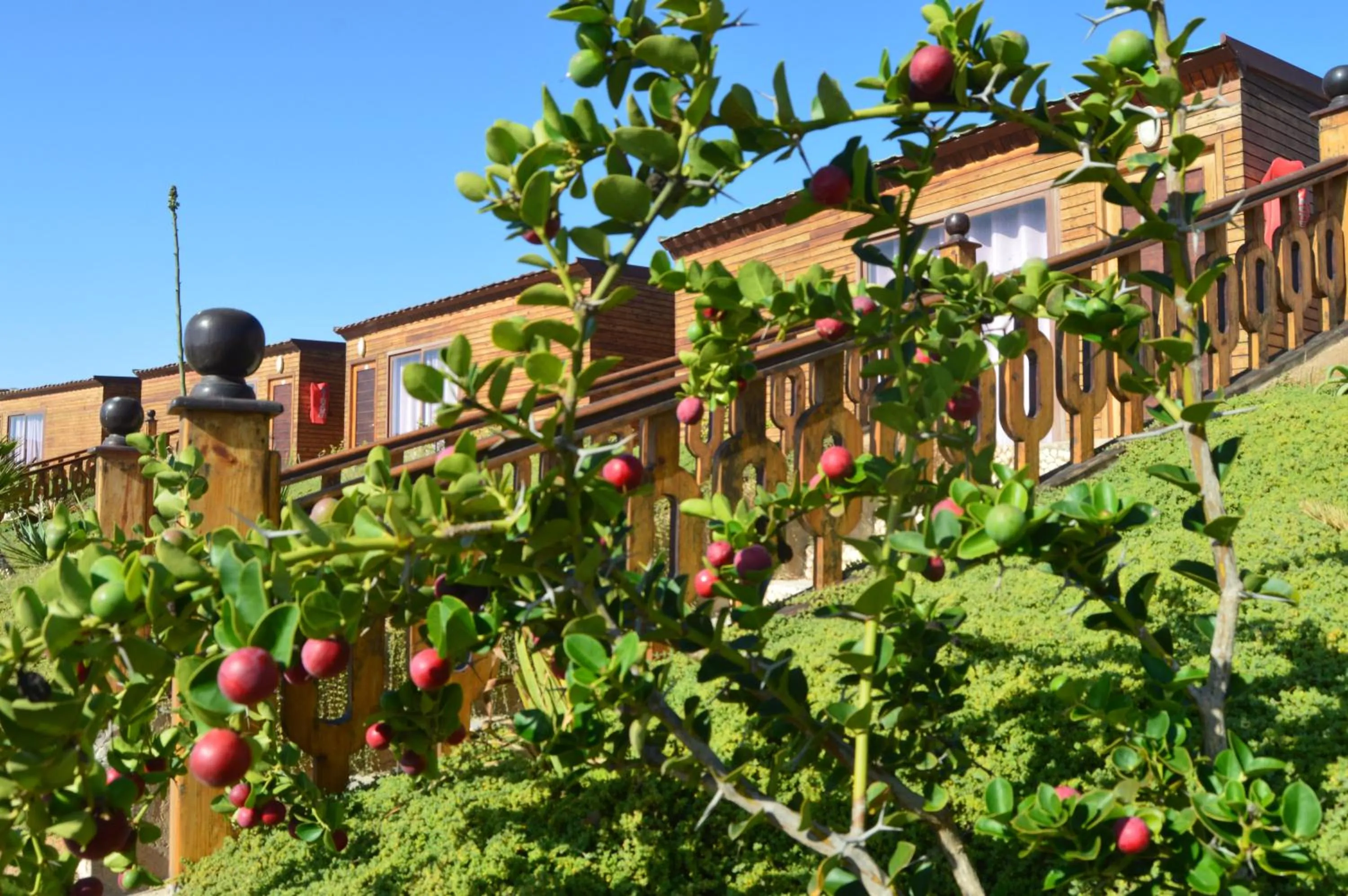 Property building in Dakhla Kitesurf World