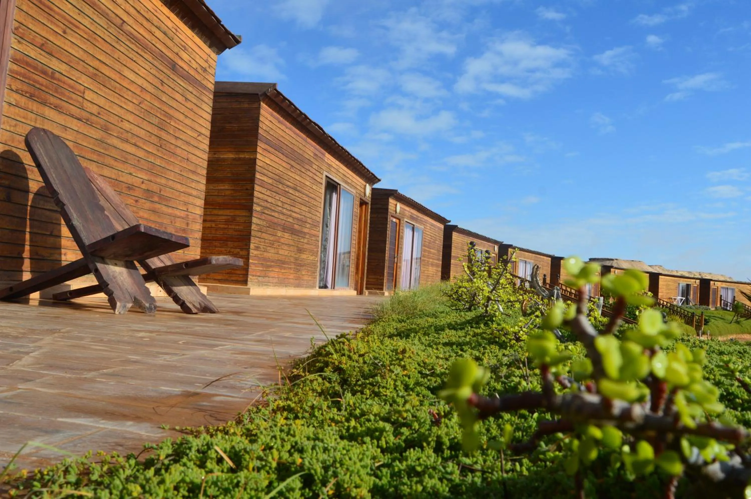 Garden in Dakhla Kitesurf World