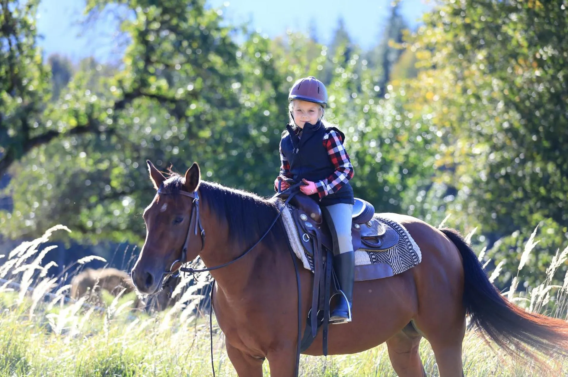 Horse-riding in Ranch Marina