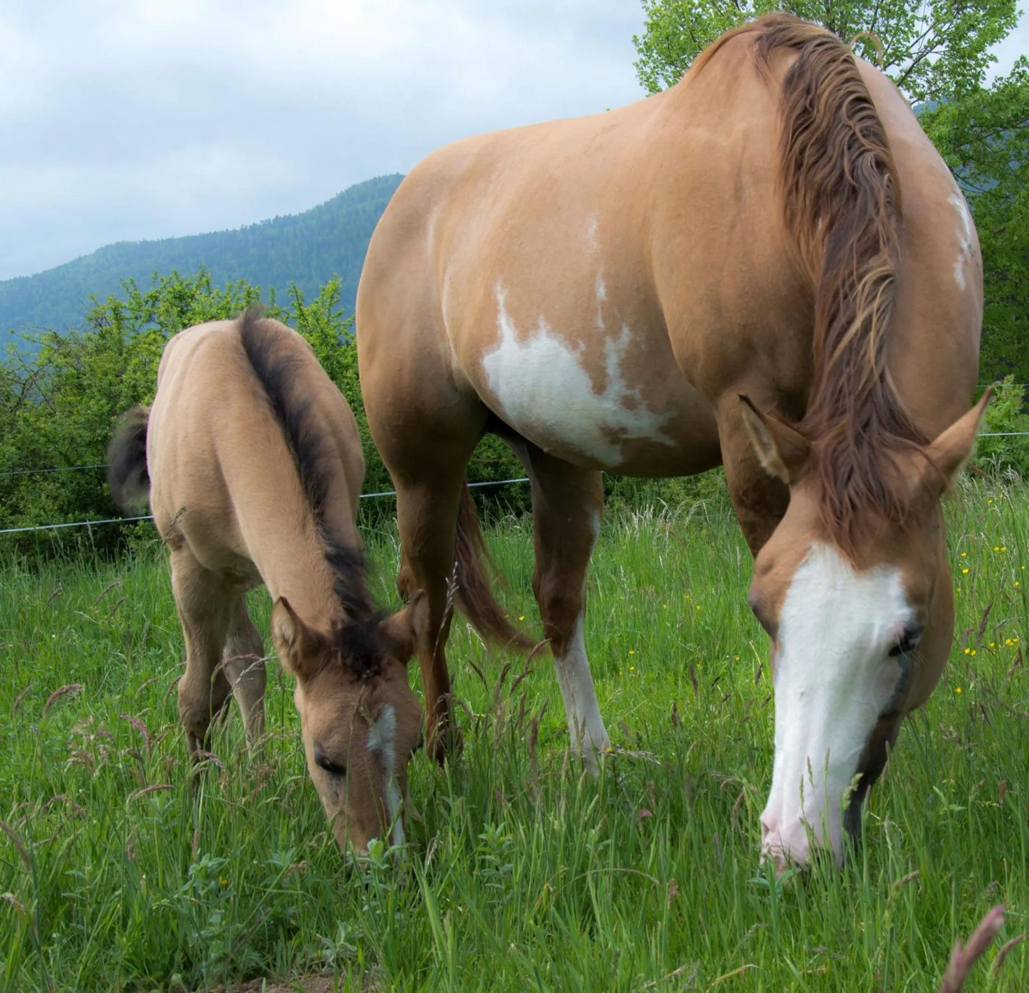 Natural landscape in Ranch Marina
