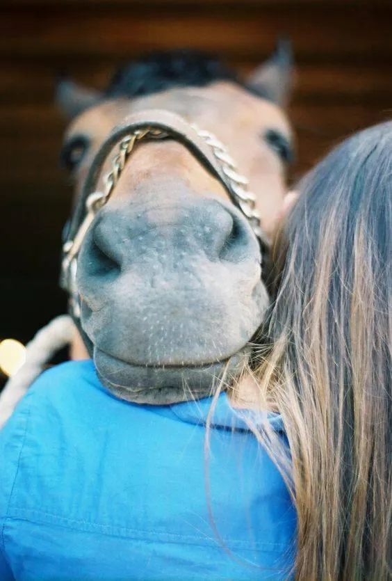 Animals in Ranch Marina