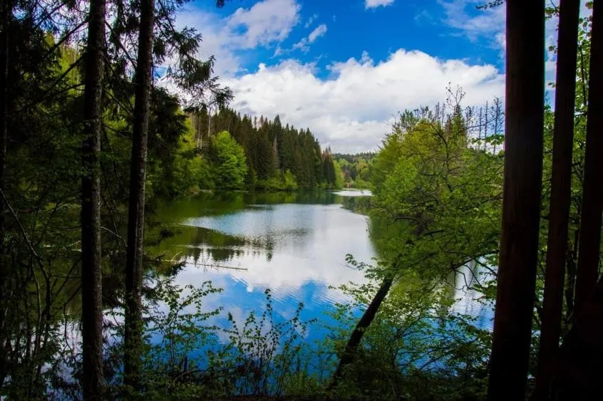 Natural landscape in Ranch Marina