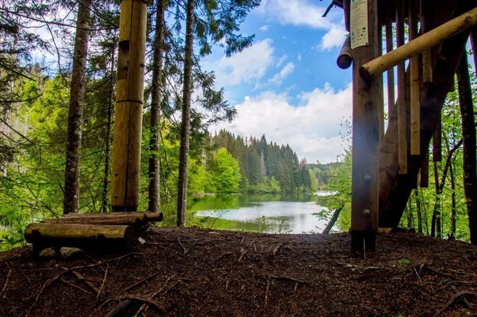 Horse-riding in Ranch Marina