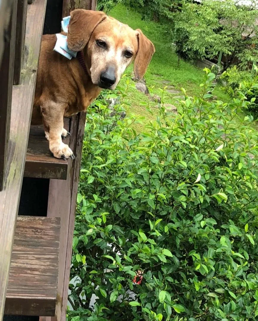 Property building in Yue Ya Villa