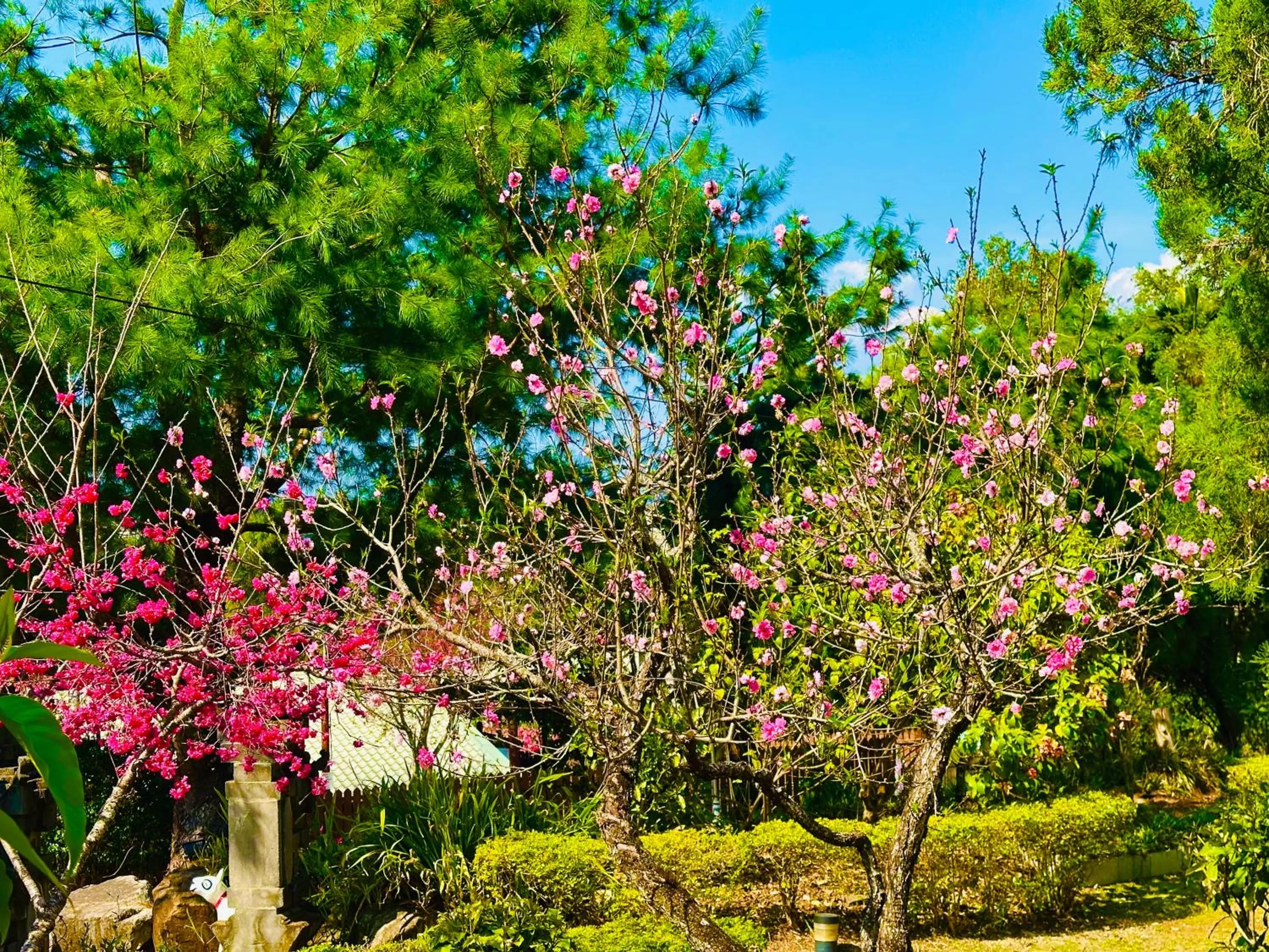 Property building in Yue Ya Villa