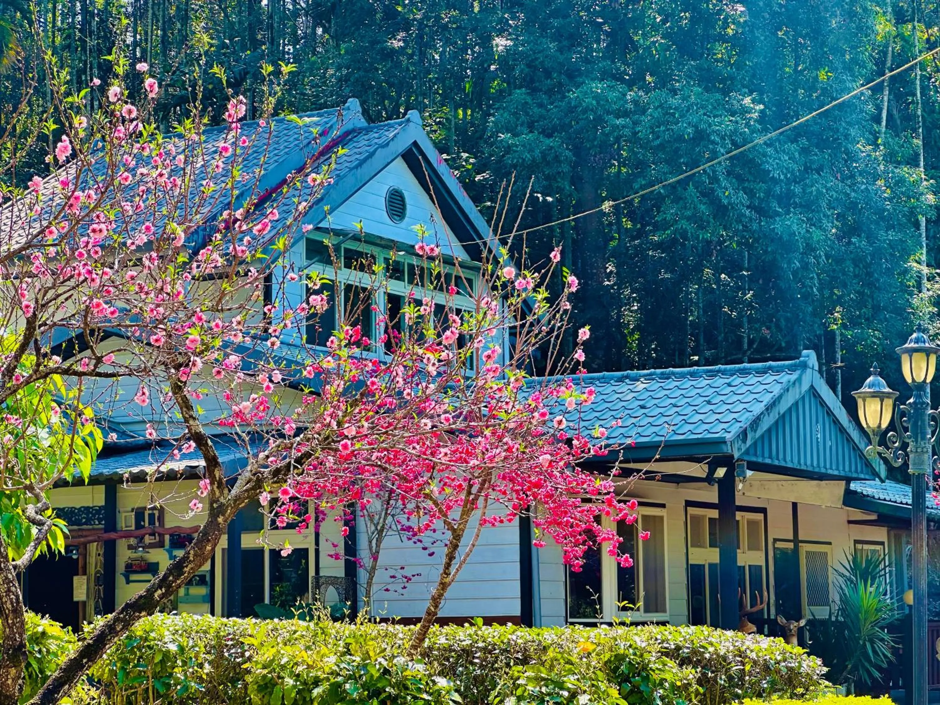 Property building in Yue Ya Villa