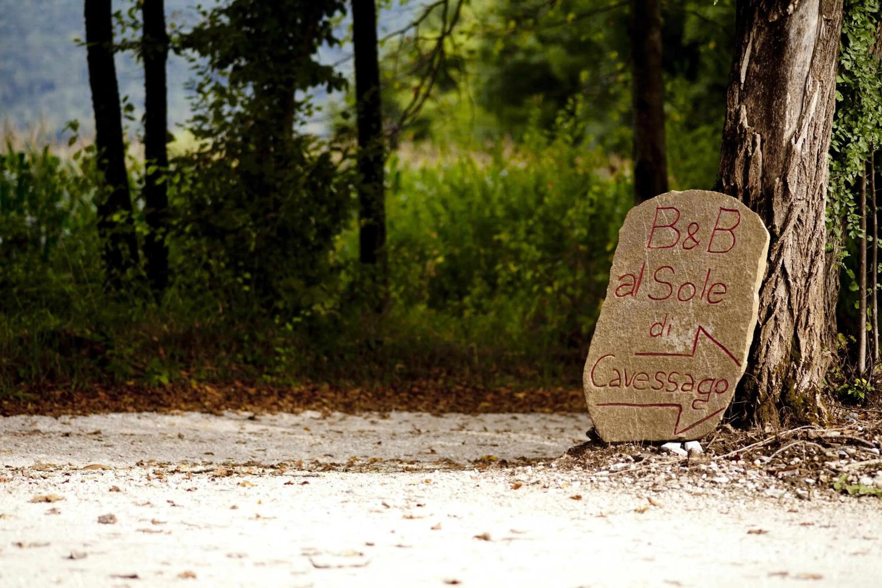 Street view in B&B Al Sole Di Cavessago