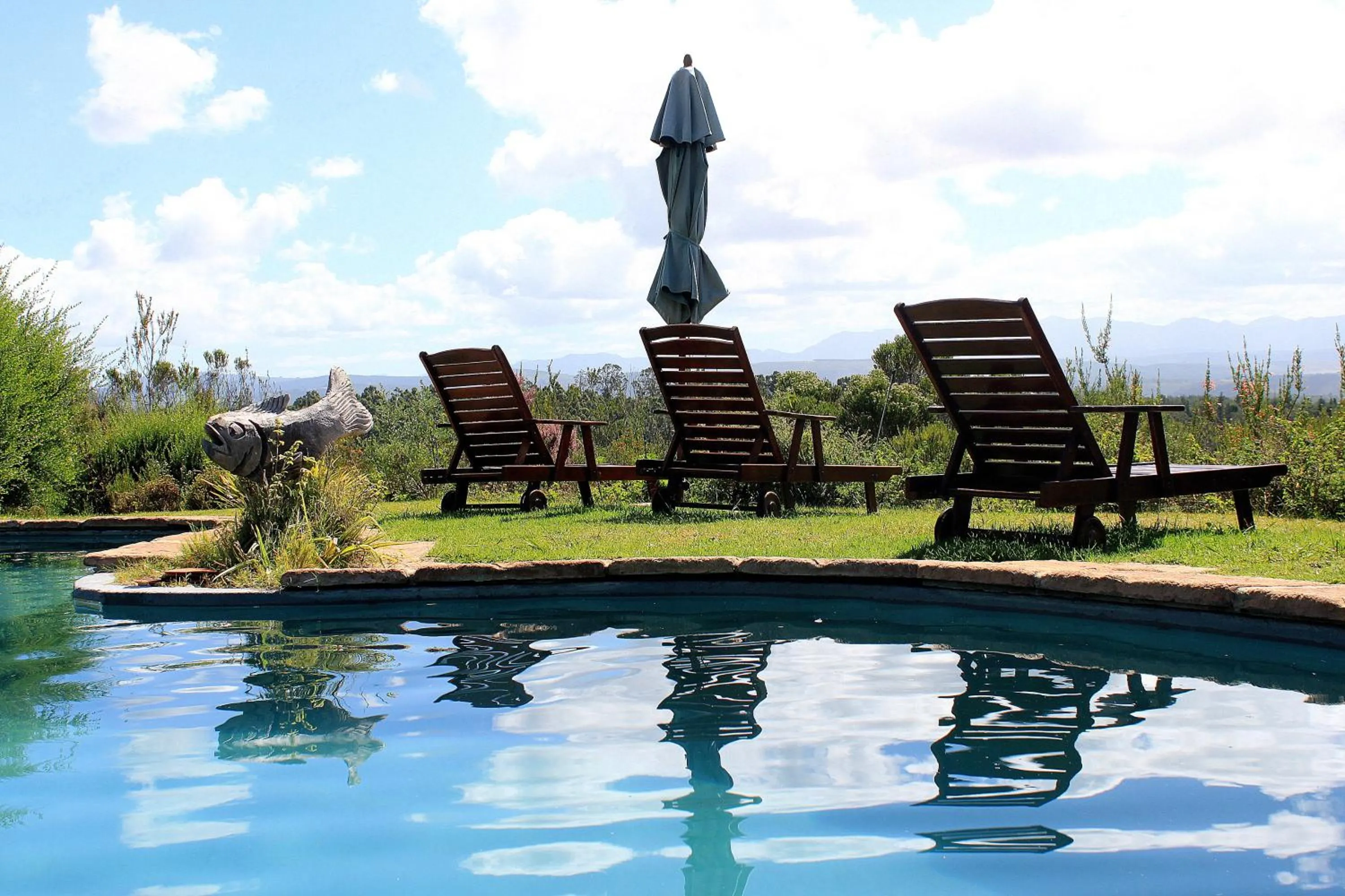 Swimming pool in Fynbos Ridge Country House & Cottages