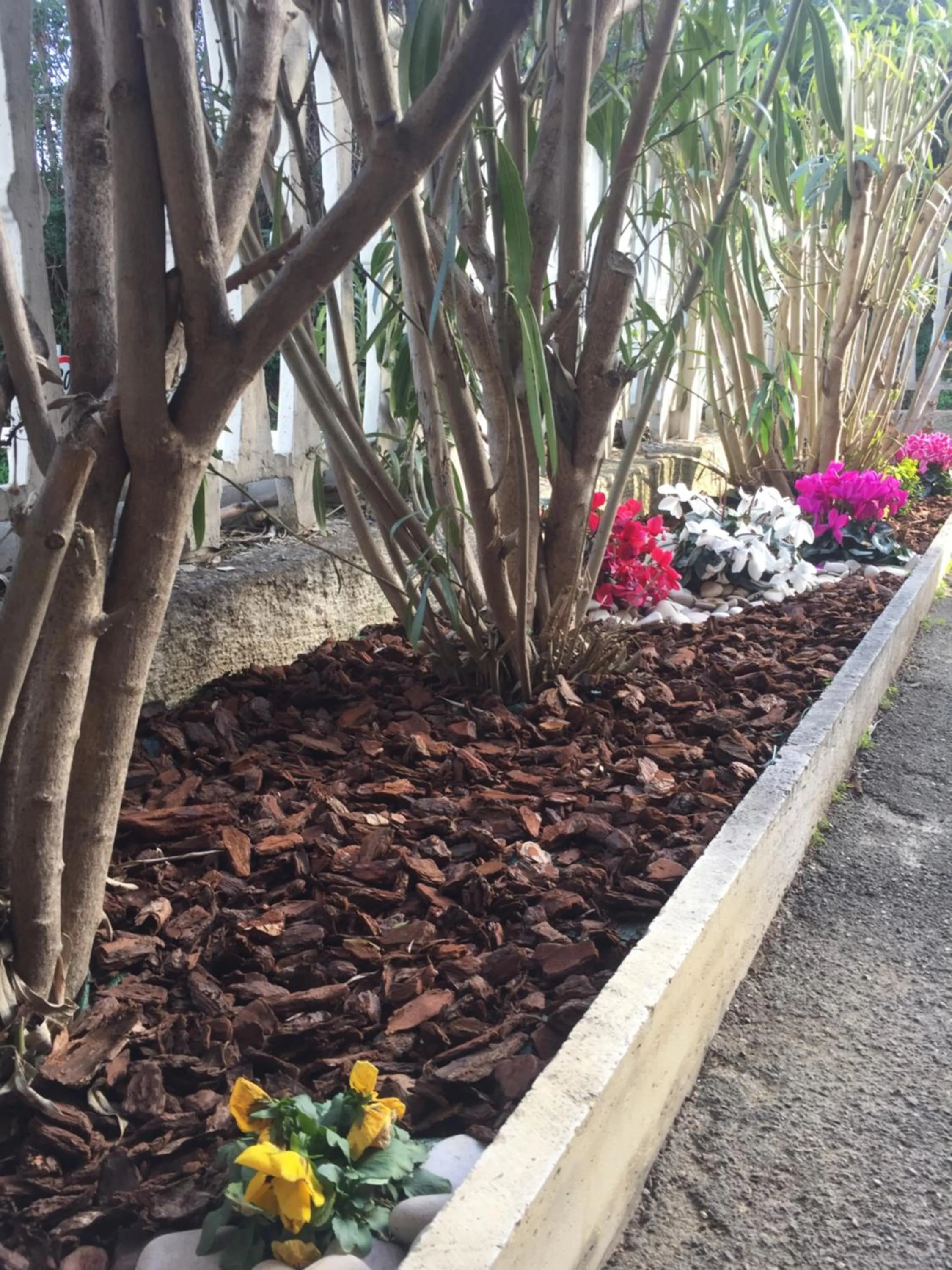 Property building in City View Pescara B&B