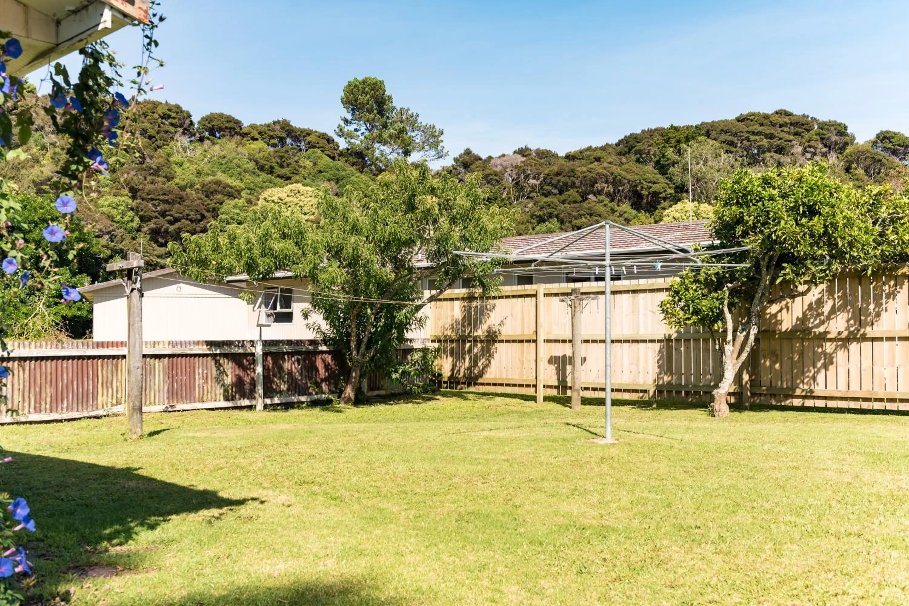 Garden view in Waitangi Beach Bach 30B