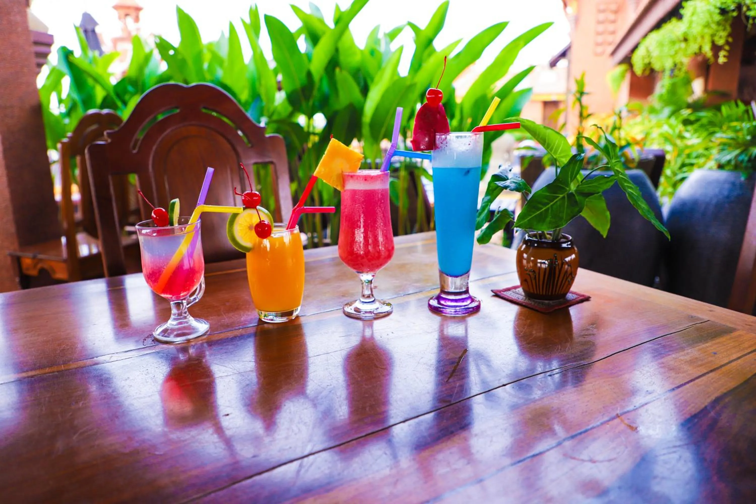 Lounge or bar in Okay 1 Villa