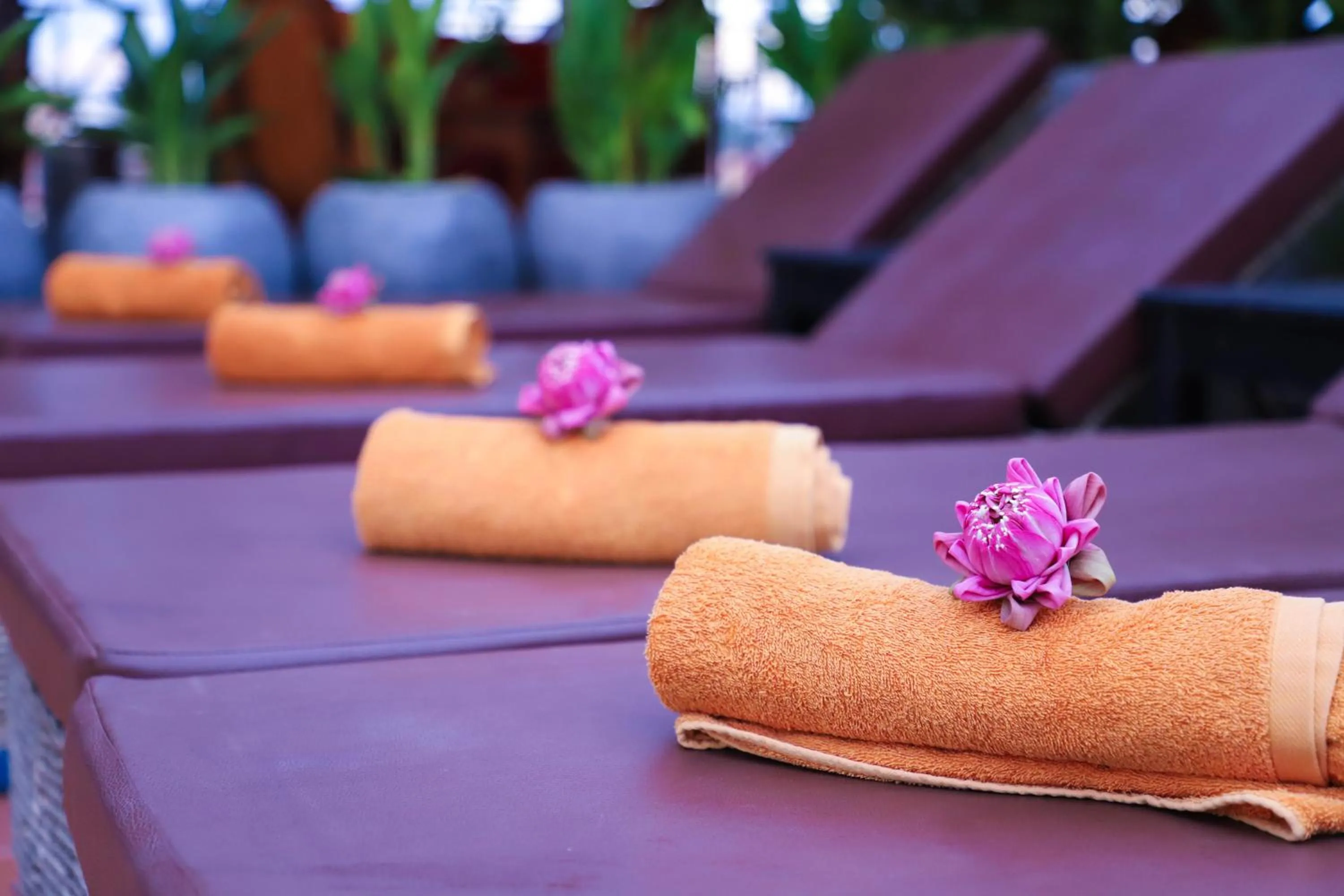 Swimming pool in Okay 1 Villa