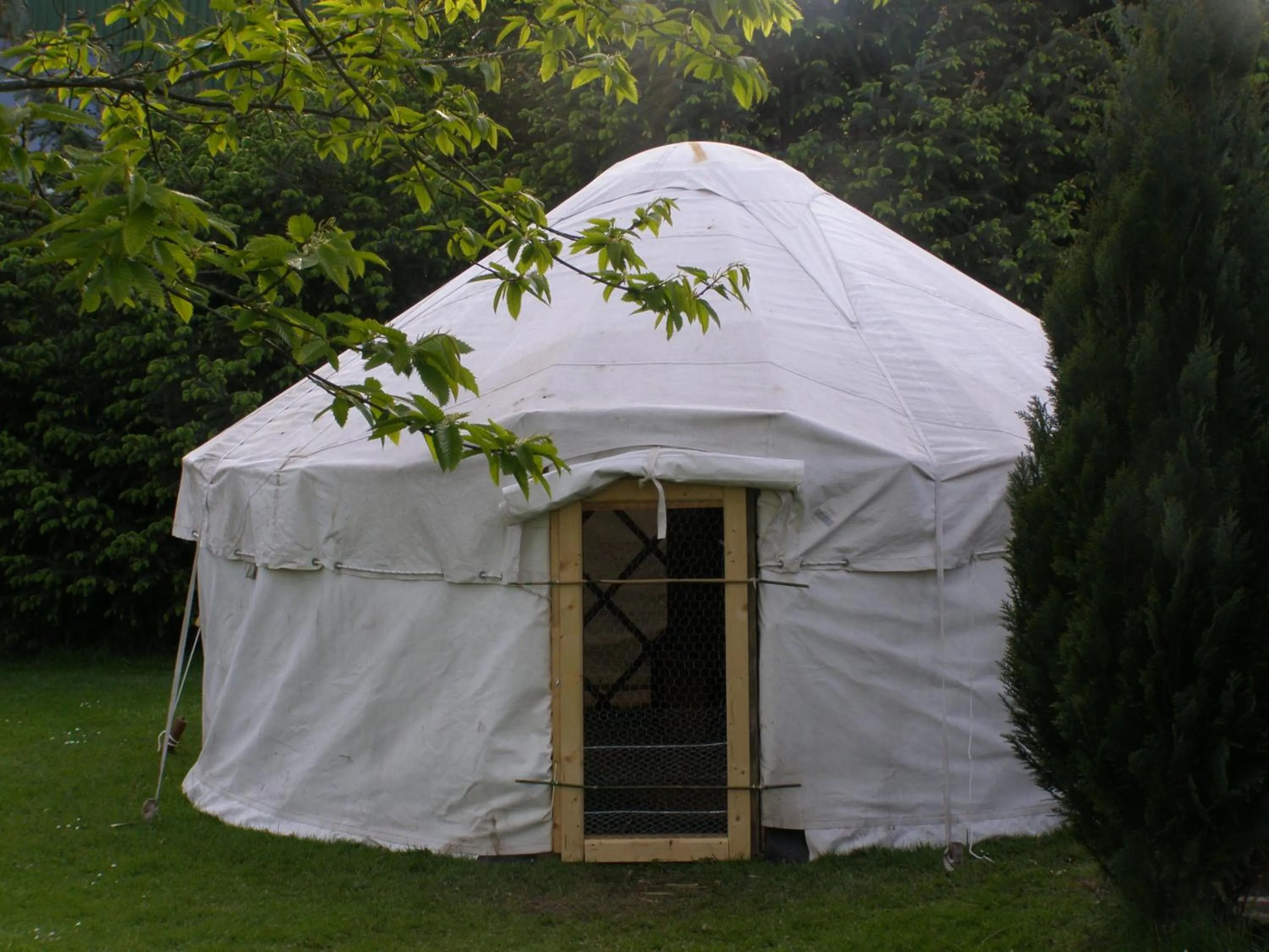 Garden in Killurin Lodge