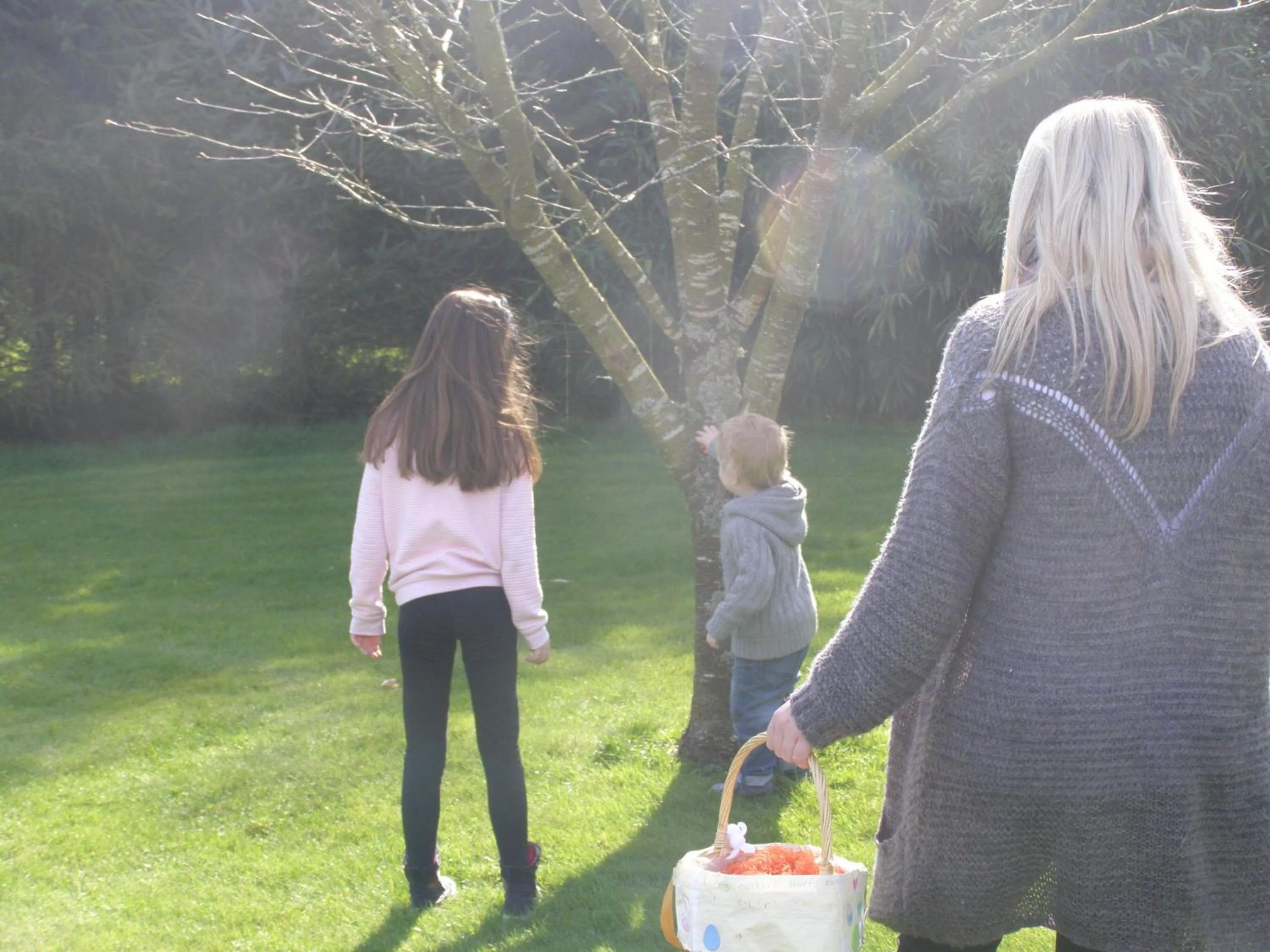 Spring in Killurin Lodge