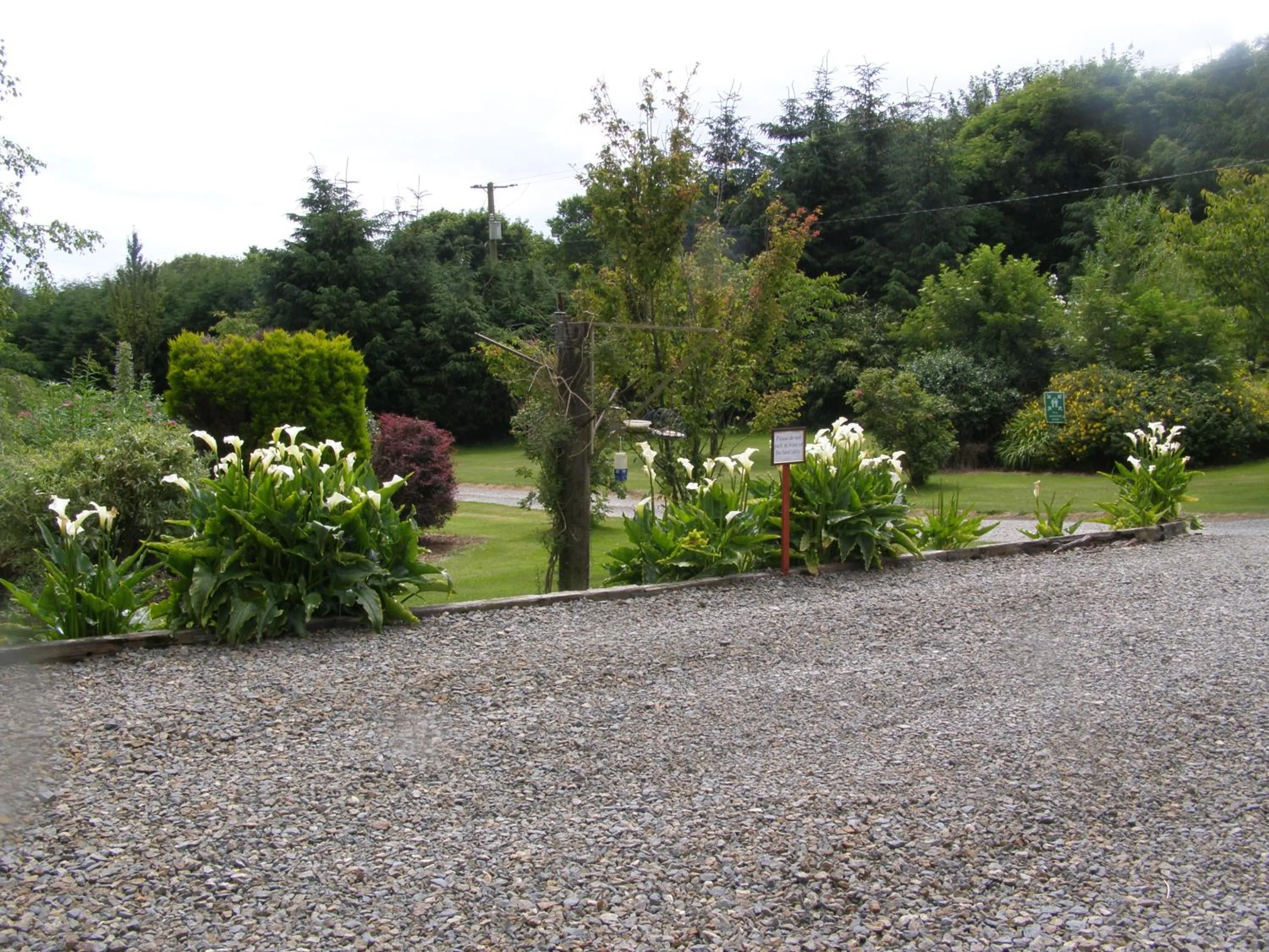 Garden in Killurin Lodge