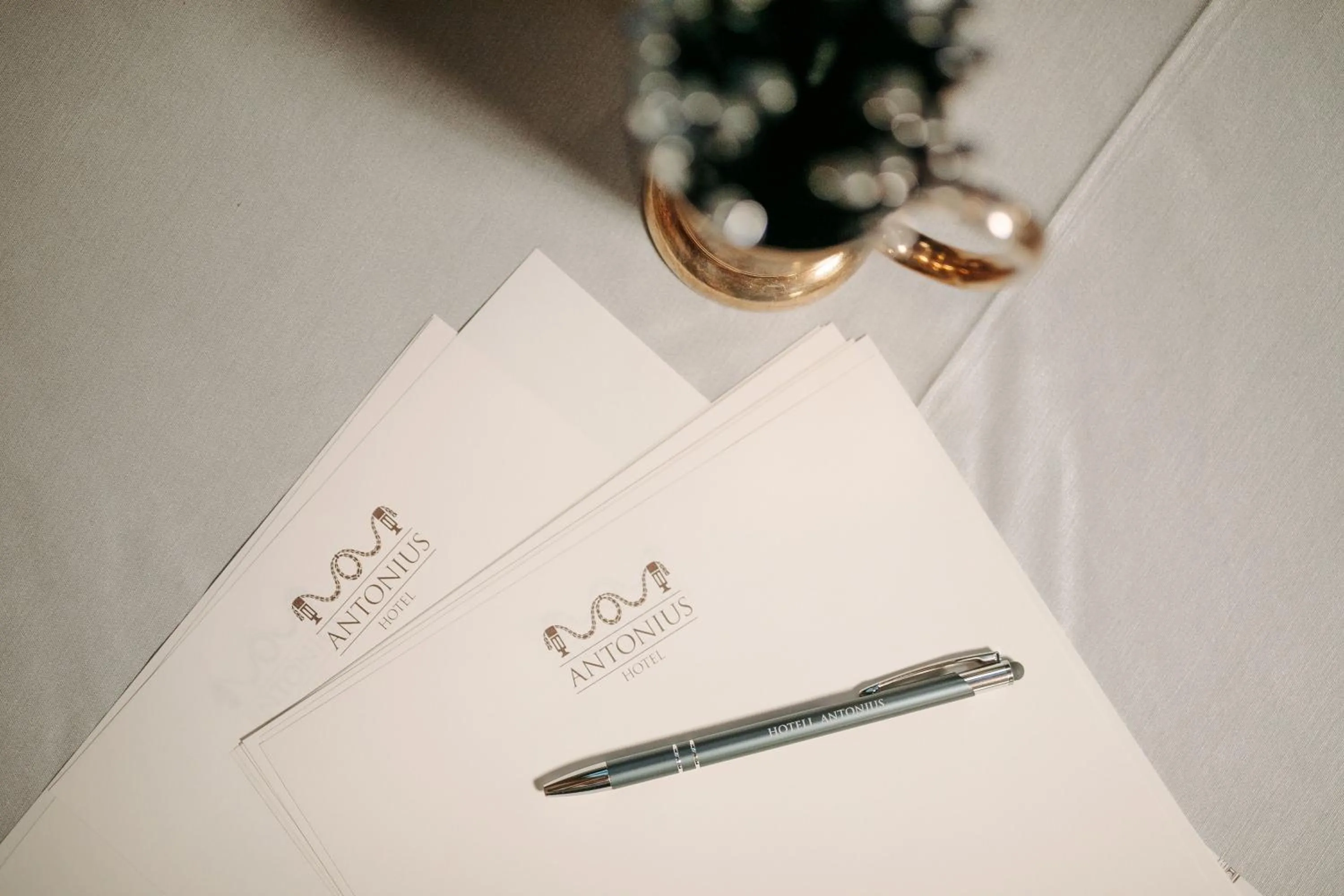 Business facilities in Antonius Boutique Hotel