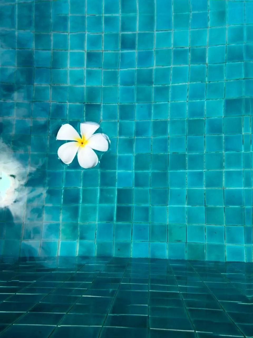 Decorative detail in Sasitara Residence