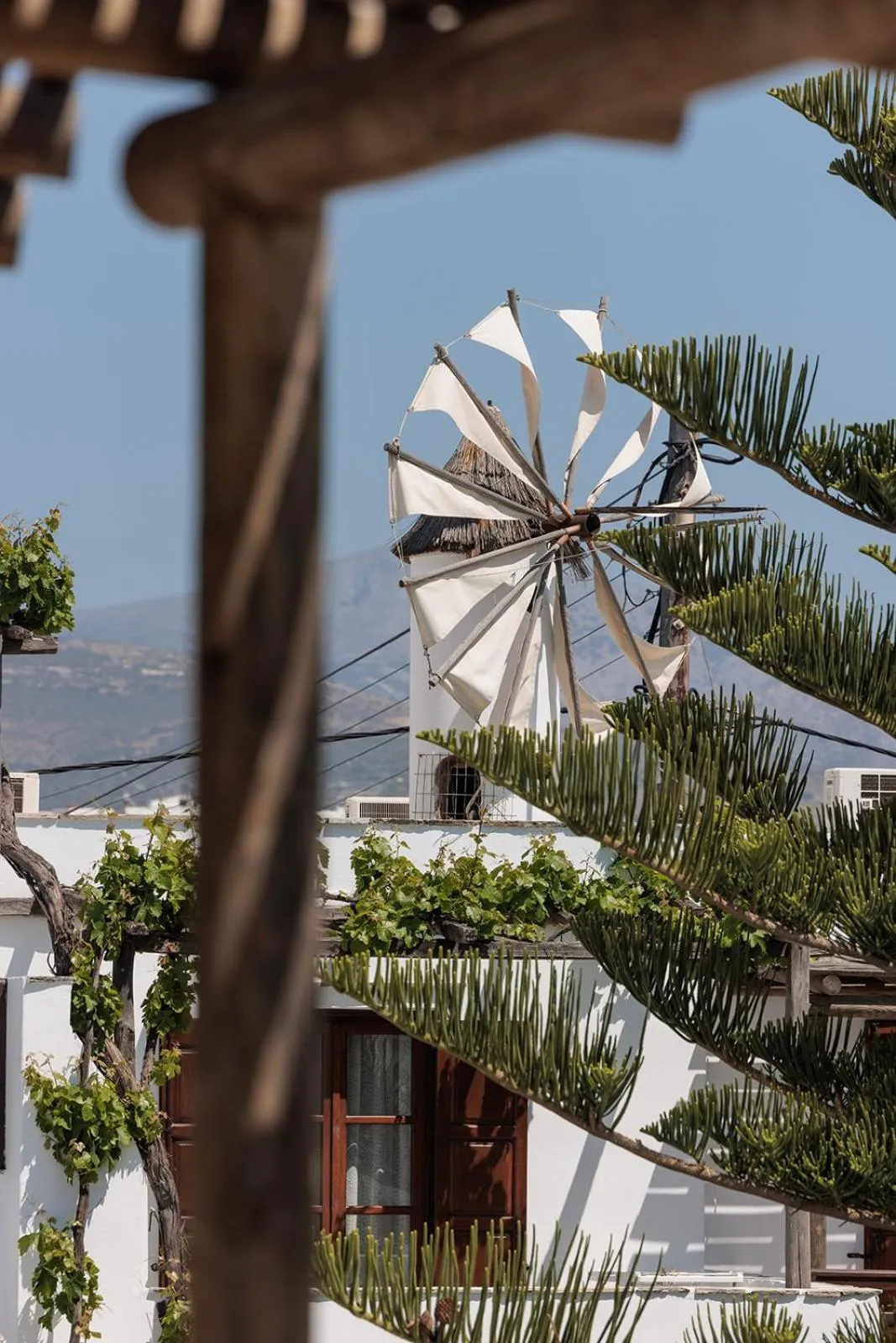 Day in Anemomilos Beach hotel