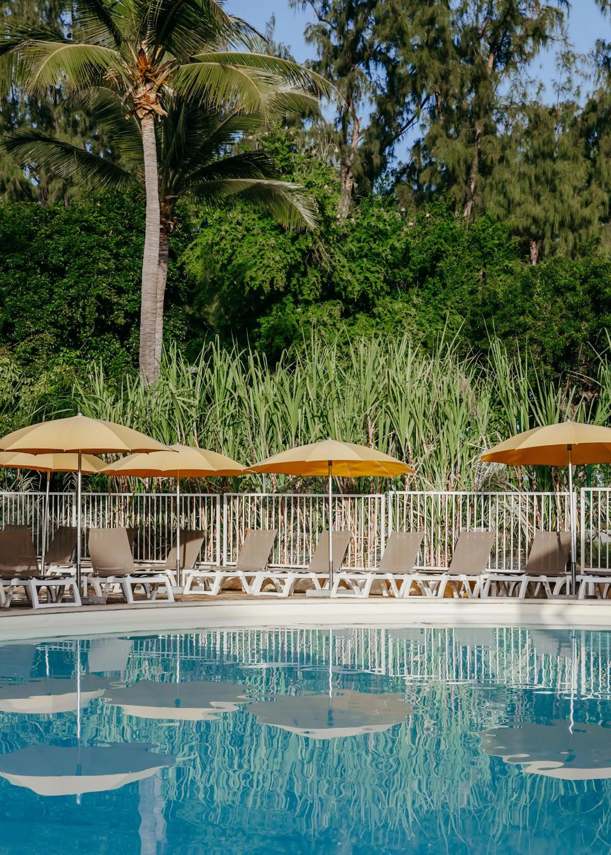 Swimming pool in Hotel Le Recif, Ile de la Reunion