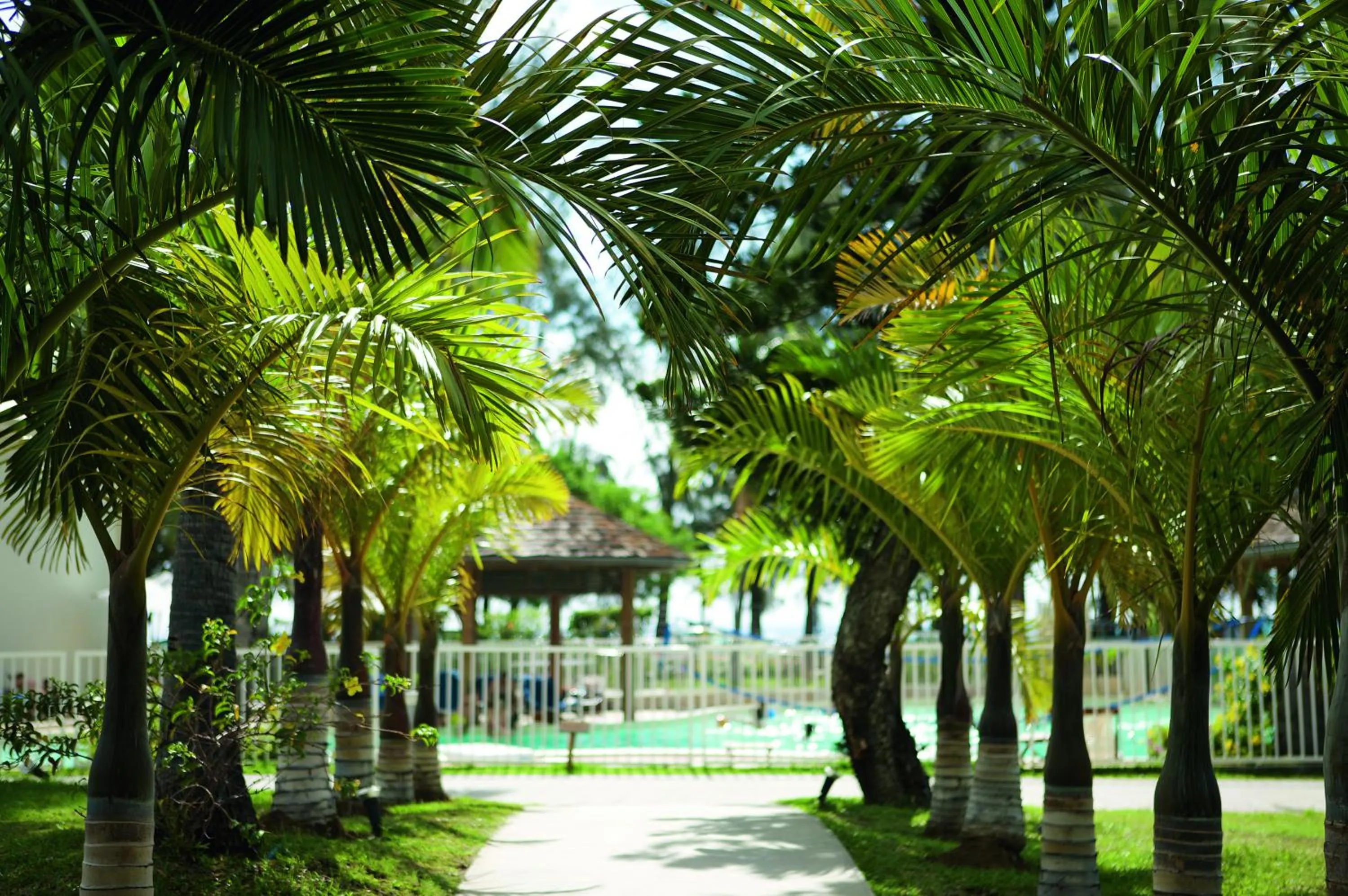 Garden in Hotel Le Recif, Ile de la Reunion